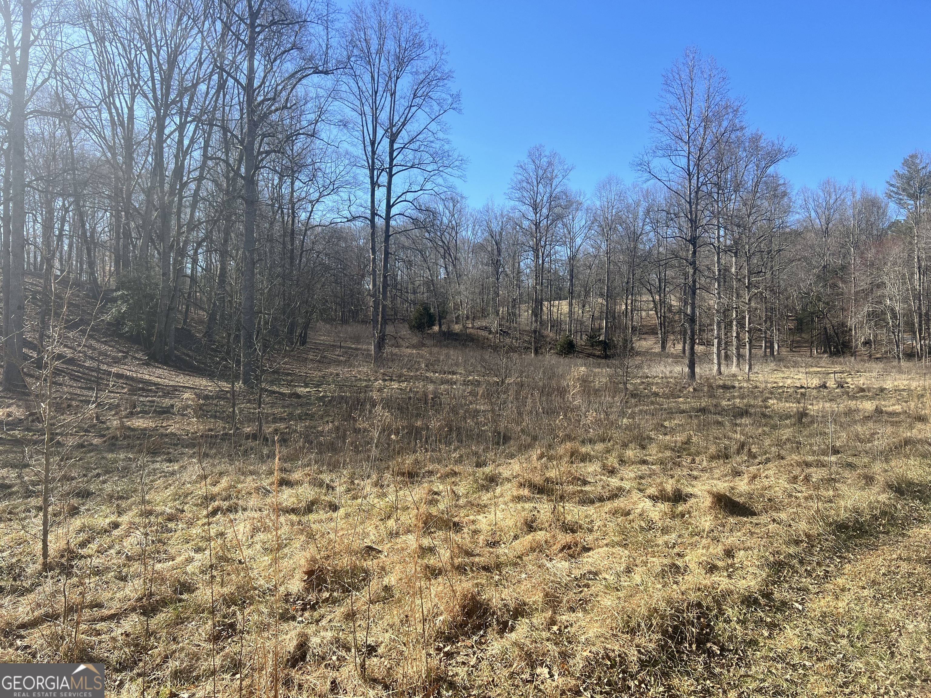 0 Old H K Wagon Road Property Photo 4