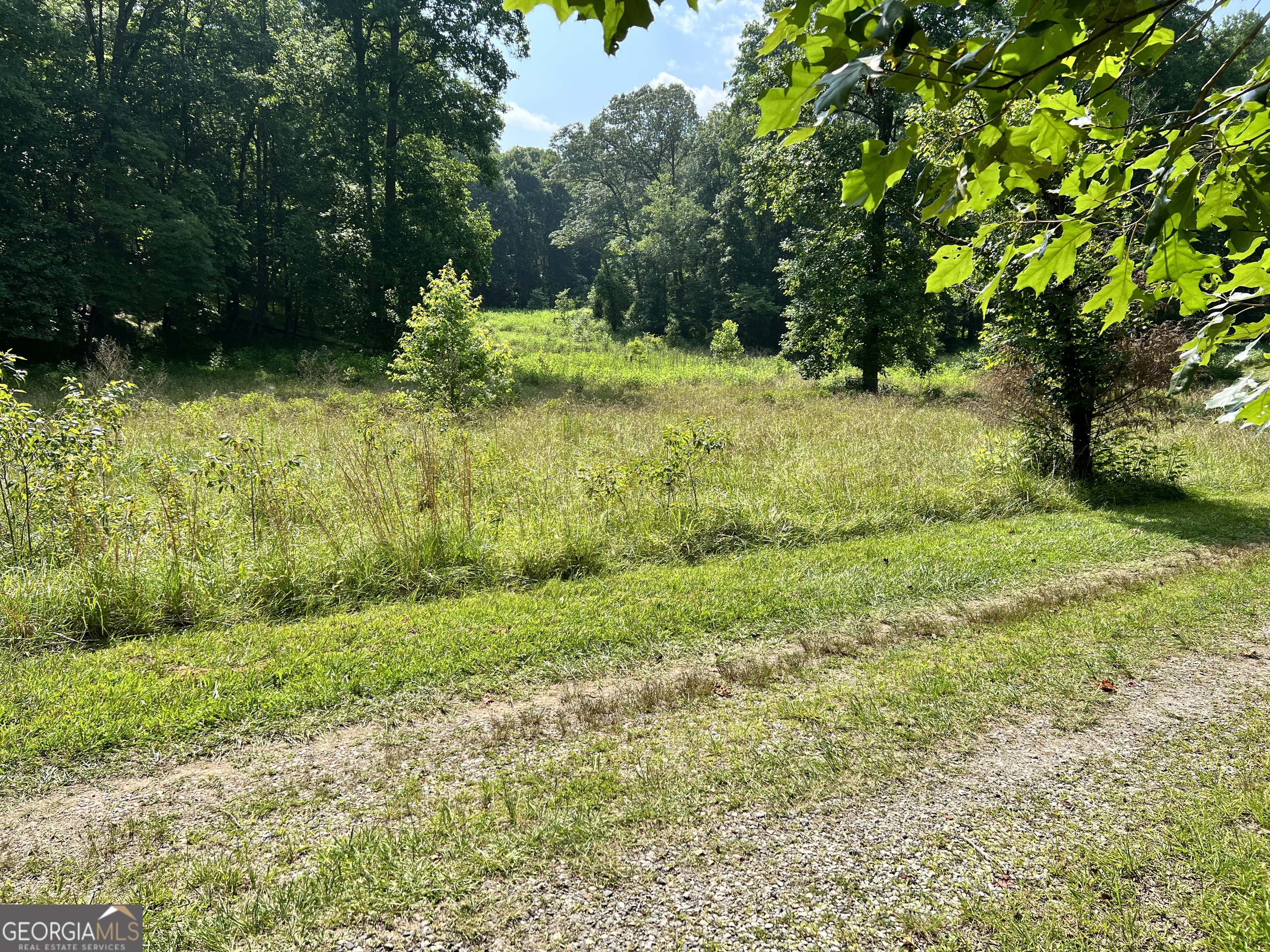 0 Old H K Wagon Road Property Photo 9