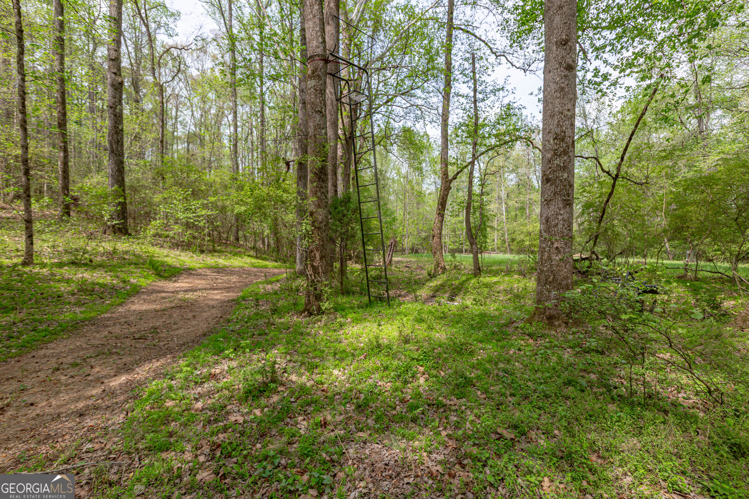 7350 Ono Road Property Photo 81
