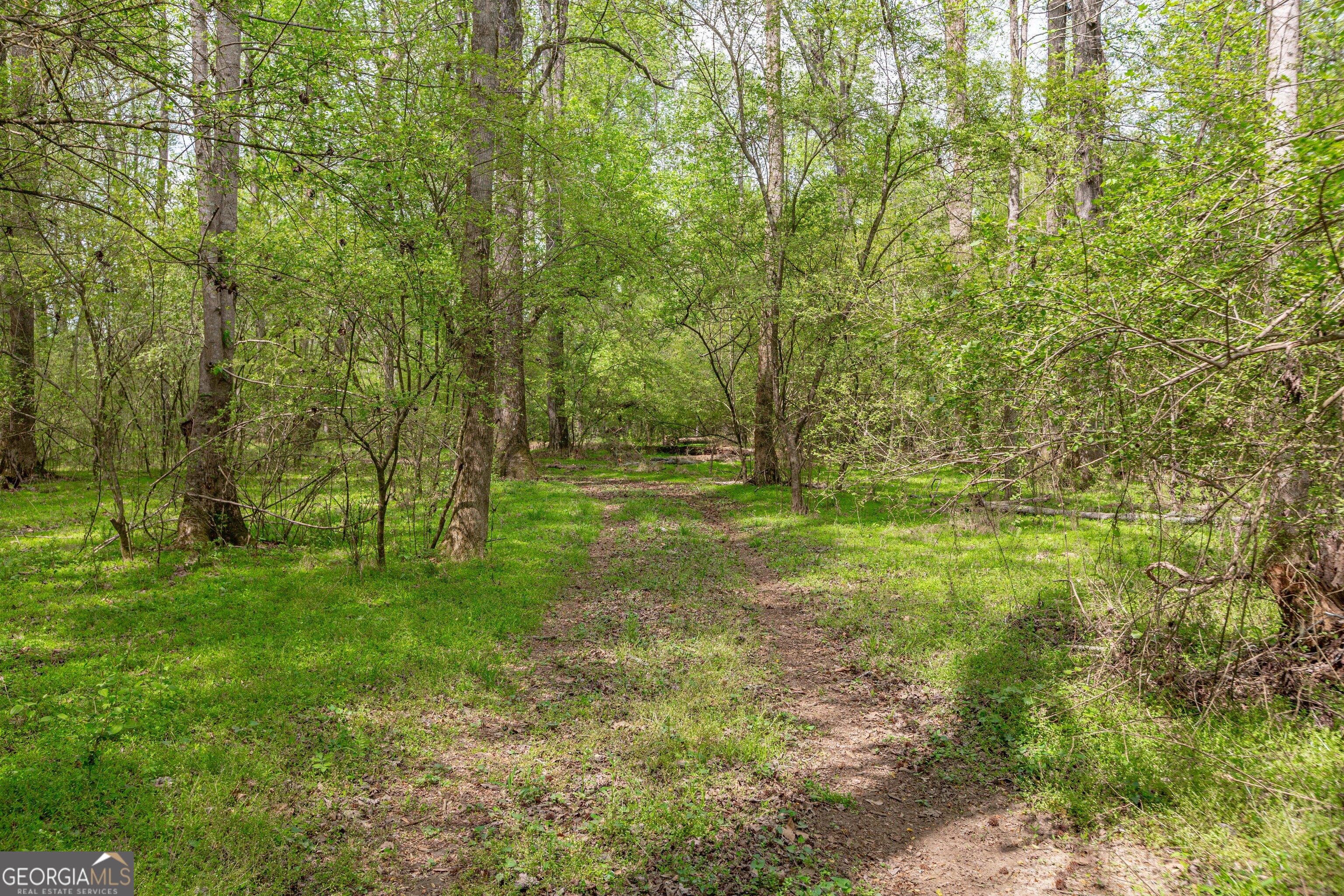 7350 Ono Road Property Photo 83