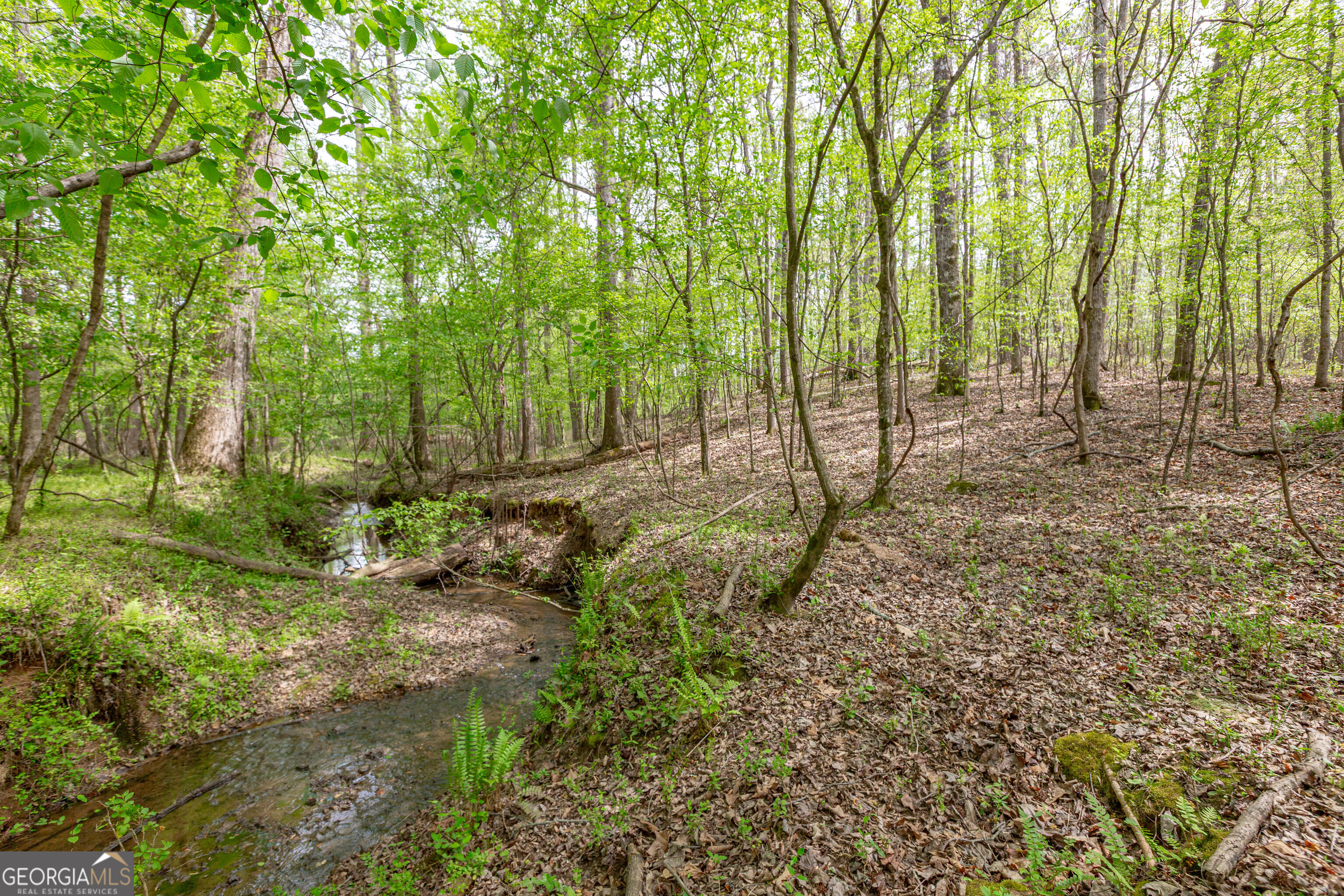 7350 Ono Road Property Photo 84