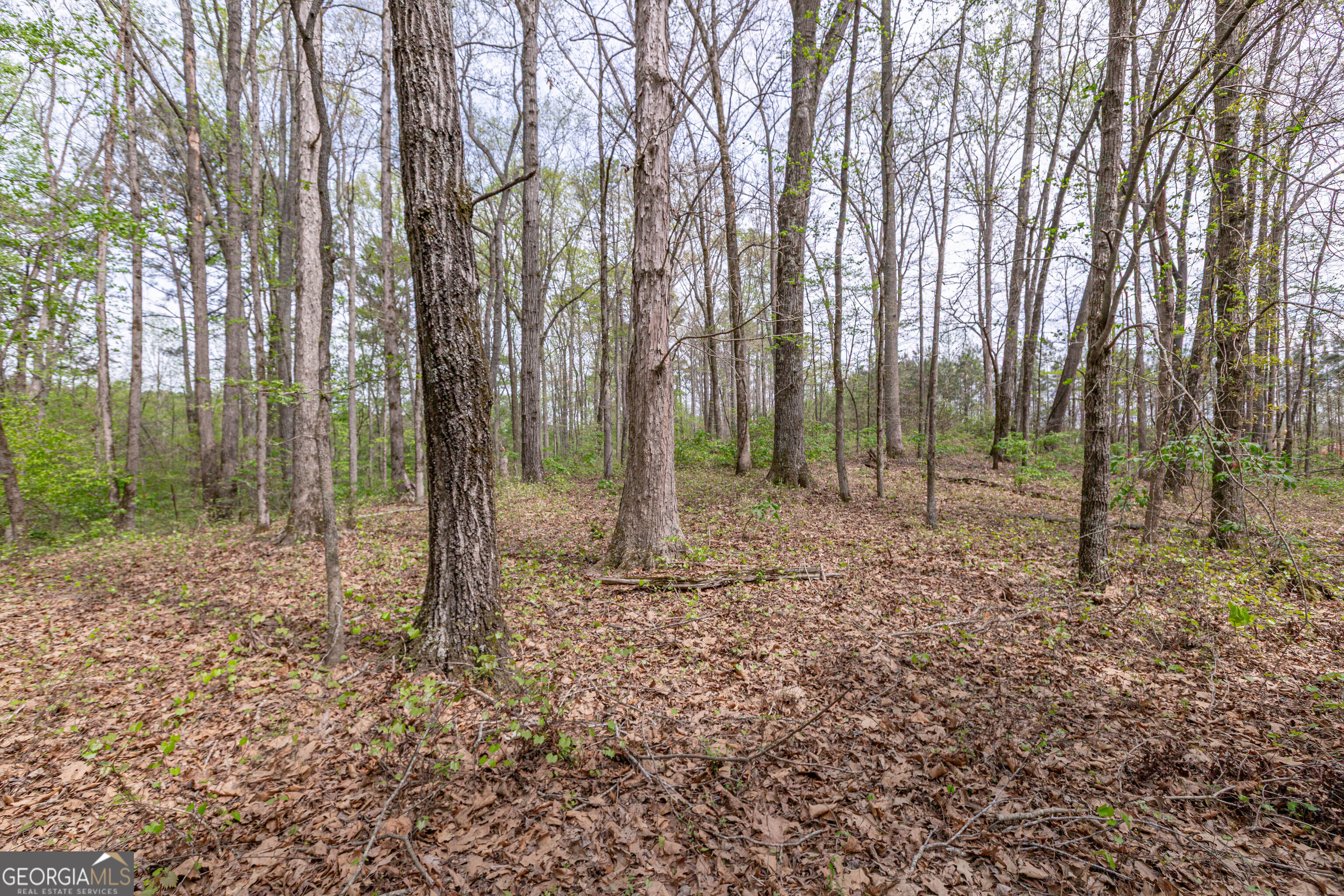 7350 Ono Road Property Photo 85
