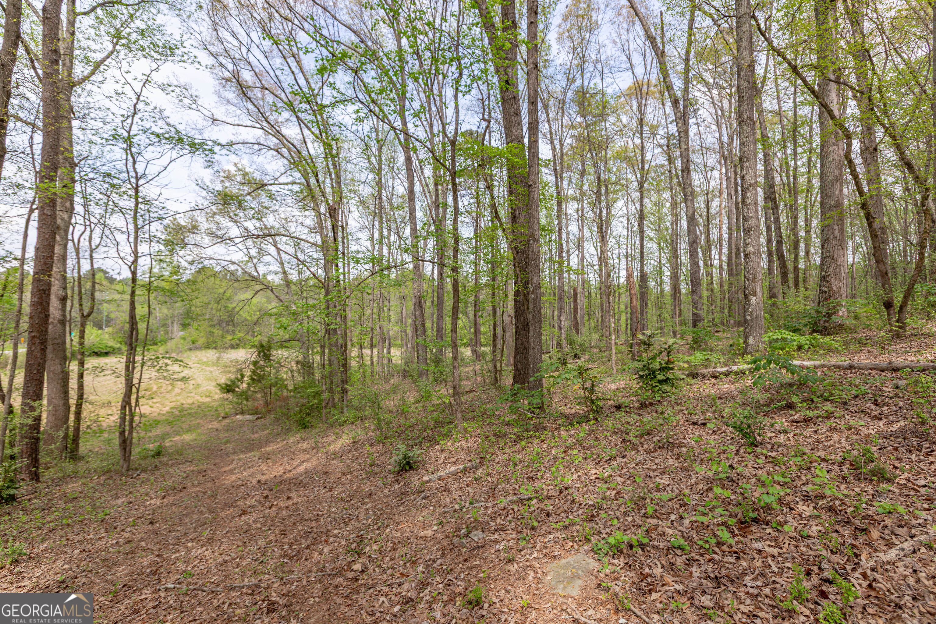 7350 Ono Road Property Photo 88