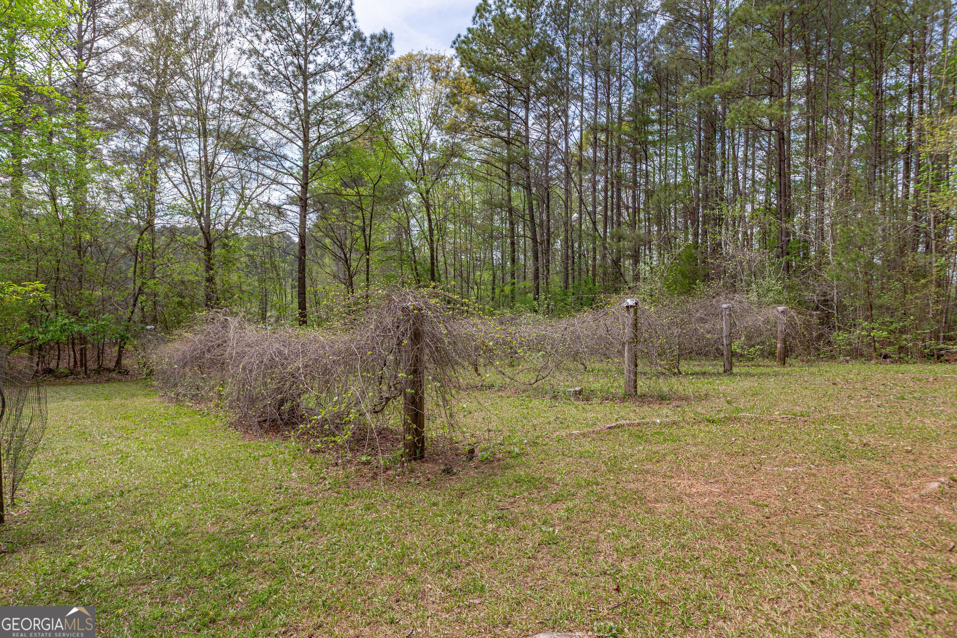 7350 Ono Road Property Photo 89