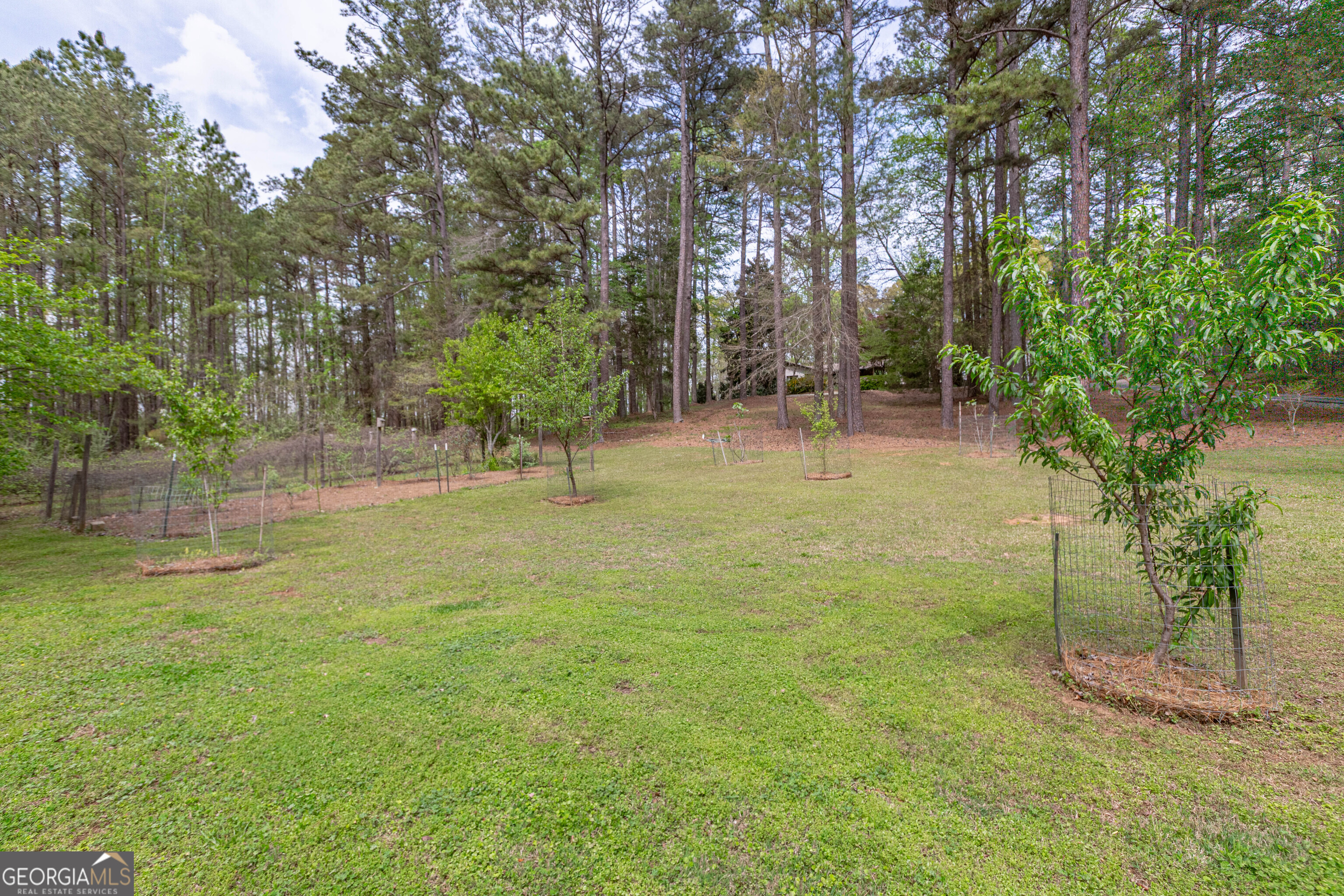 7350 Ono Road Property Photo 90