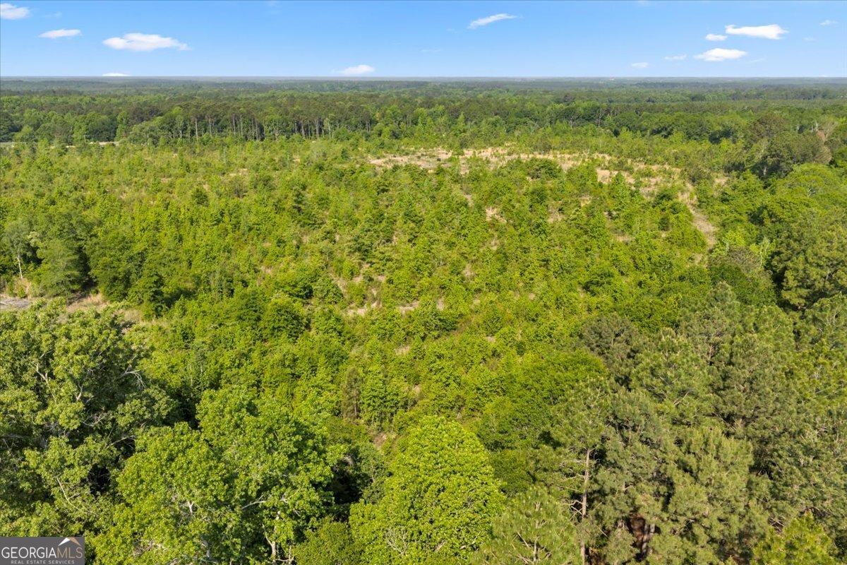 0 S Highway 441 Property Photo 10