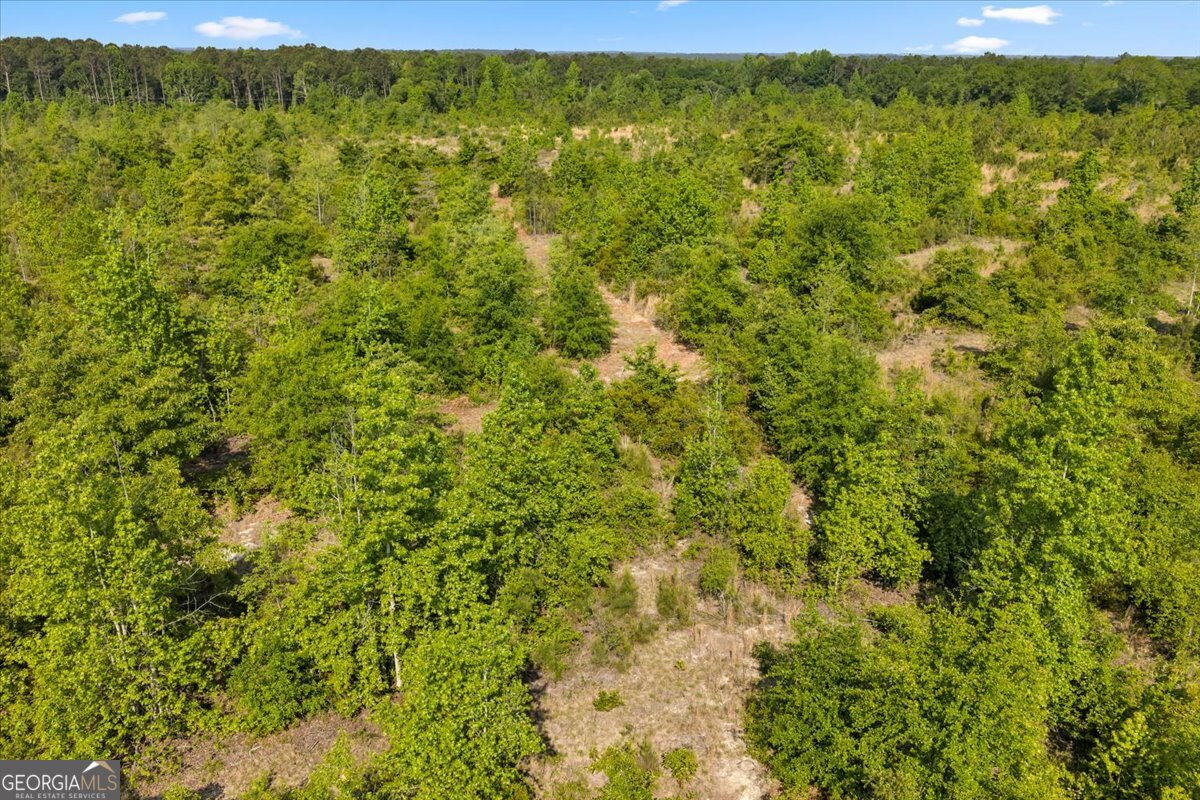 0 S Highway 441 Property Photo 12
