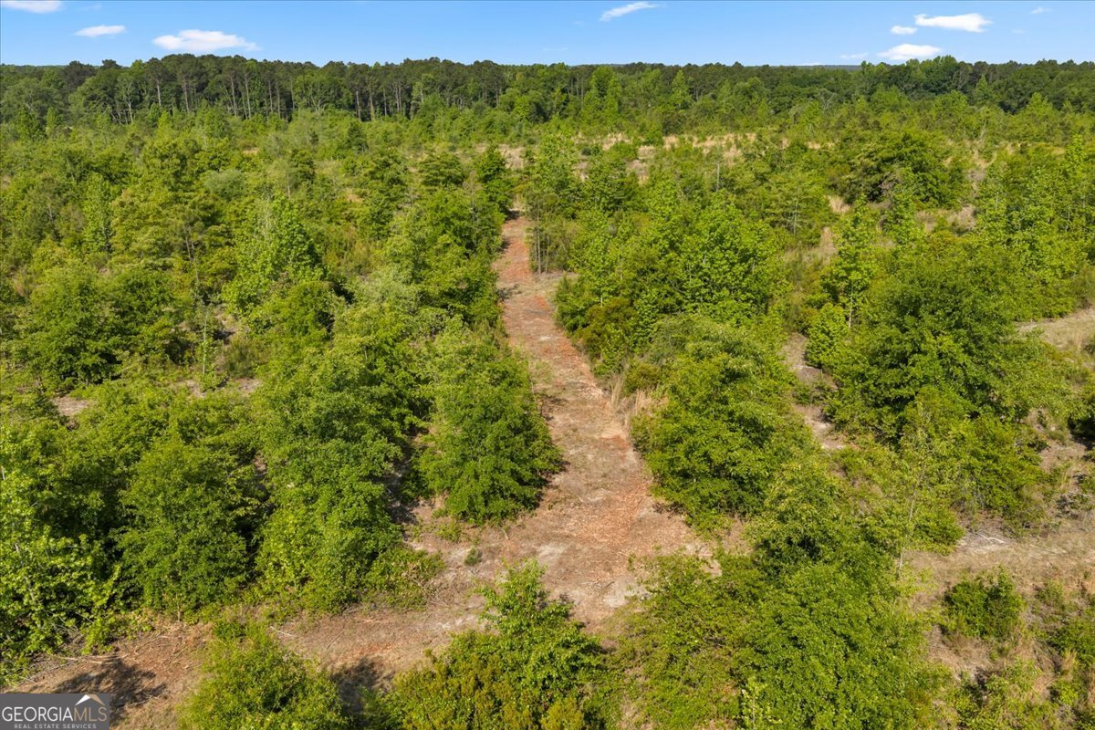 0 S Highway 441 Property Photo 13