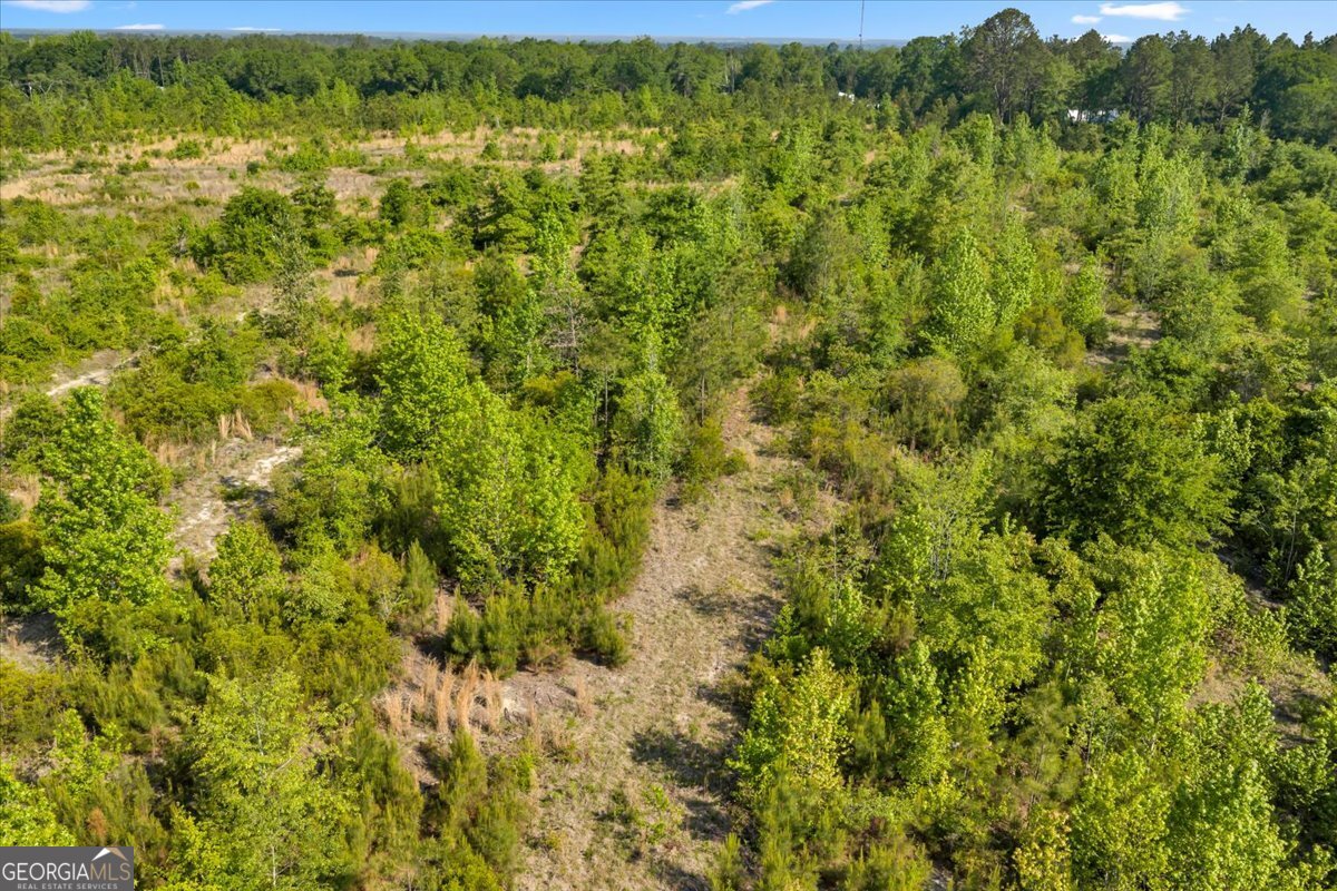 0 S Highway 441 Property Photo 14
