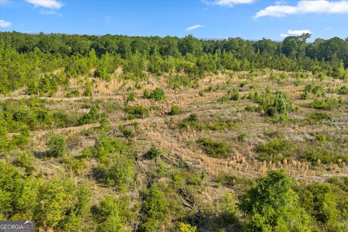 0 S Highway 441 Property Photo 18