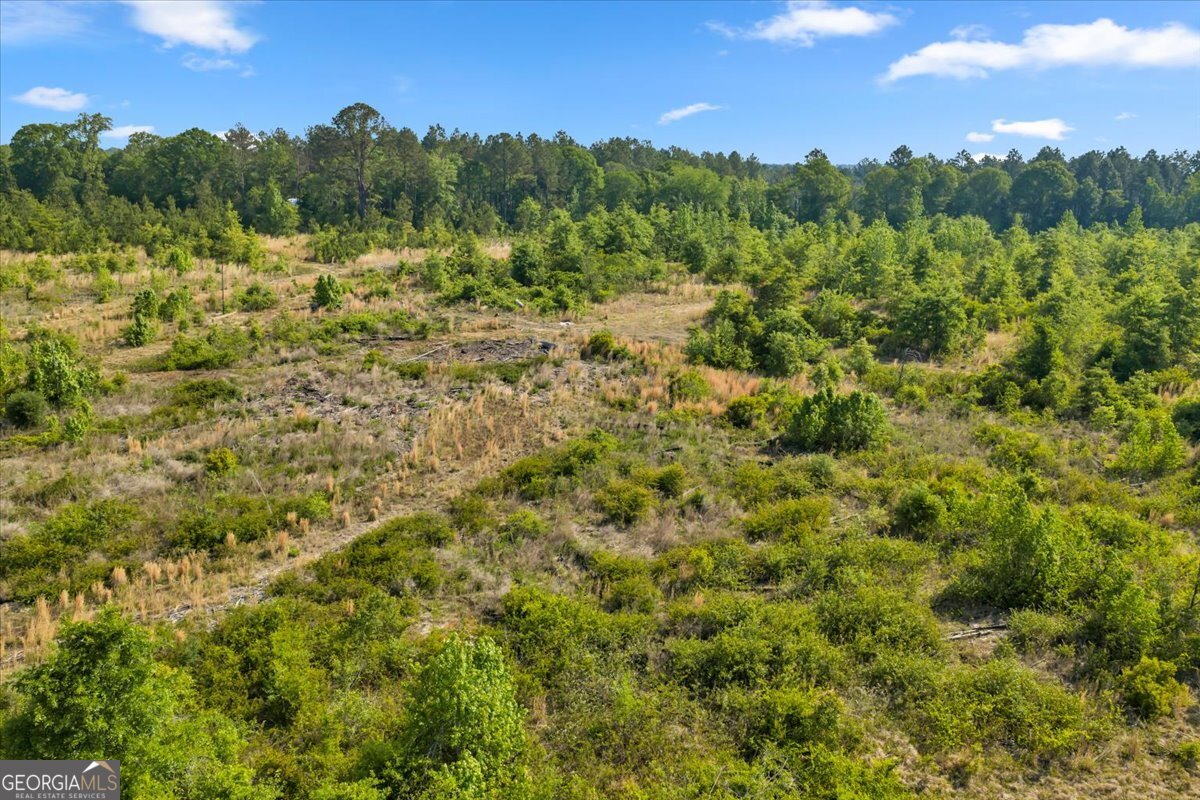 0 S Highway 441 Property Photo 19