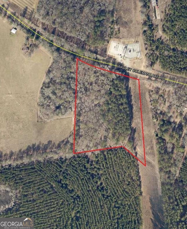 0 Wadley Coleman Lake Road Property Photo 1