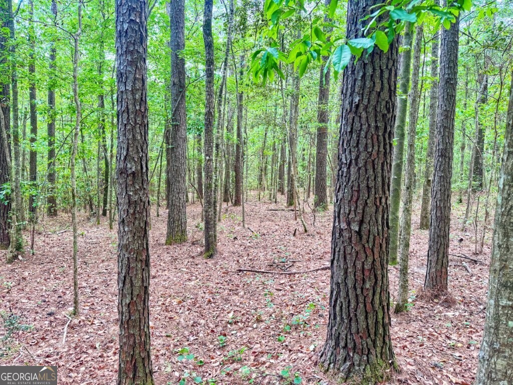 0 Jackson Landing Road Property Photo 2
