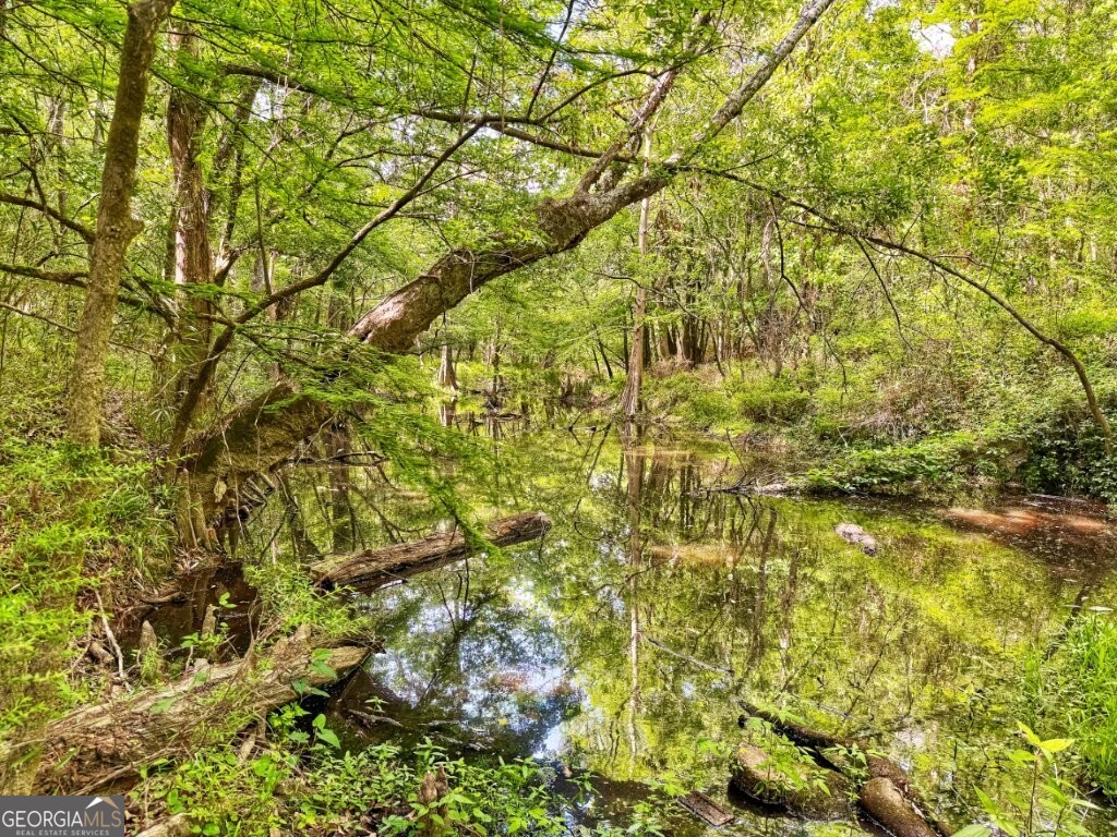 0 Jackson Landing Road Property Photo 3