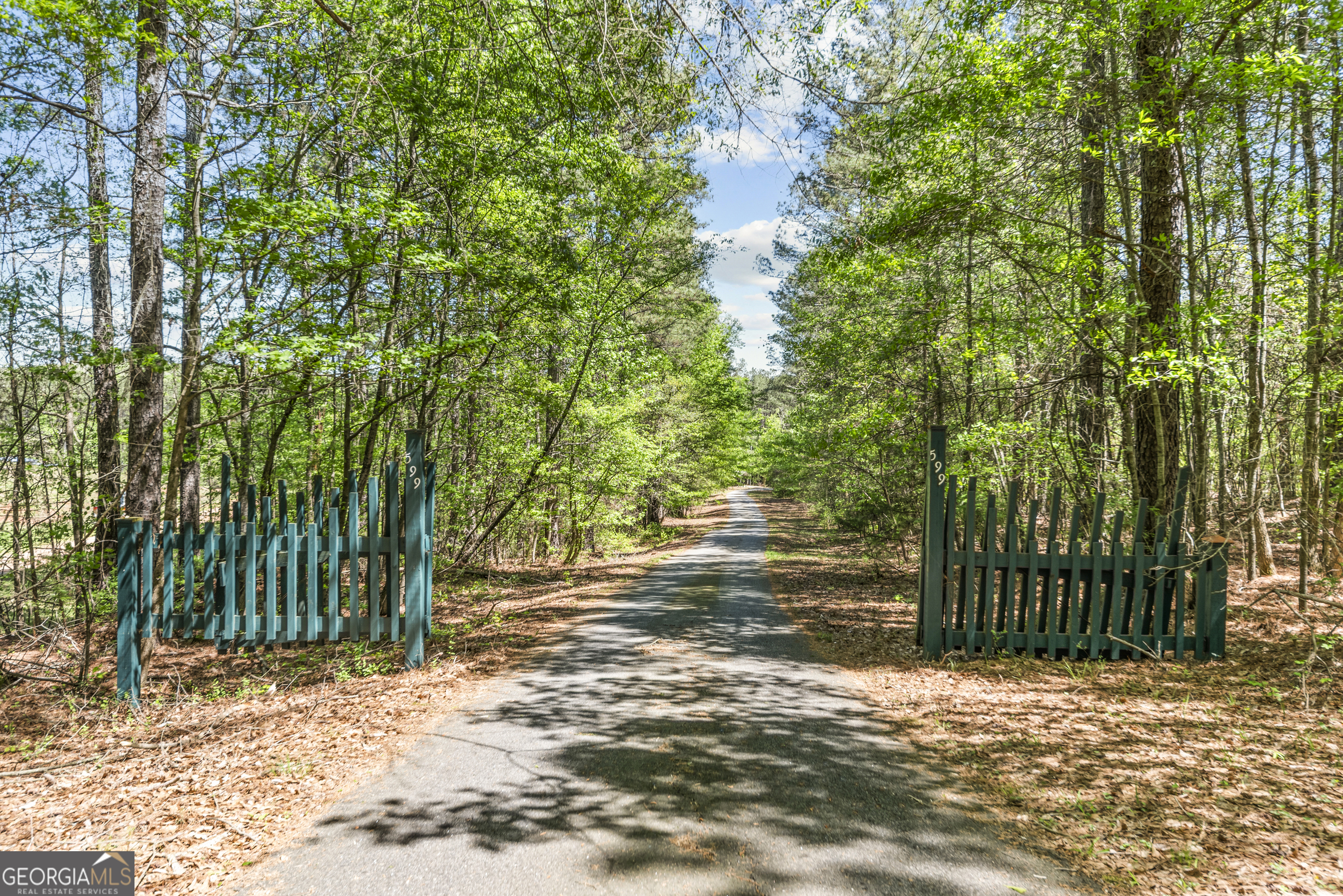 599 Double Branch Road Property Photo 29