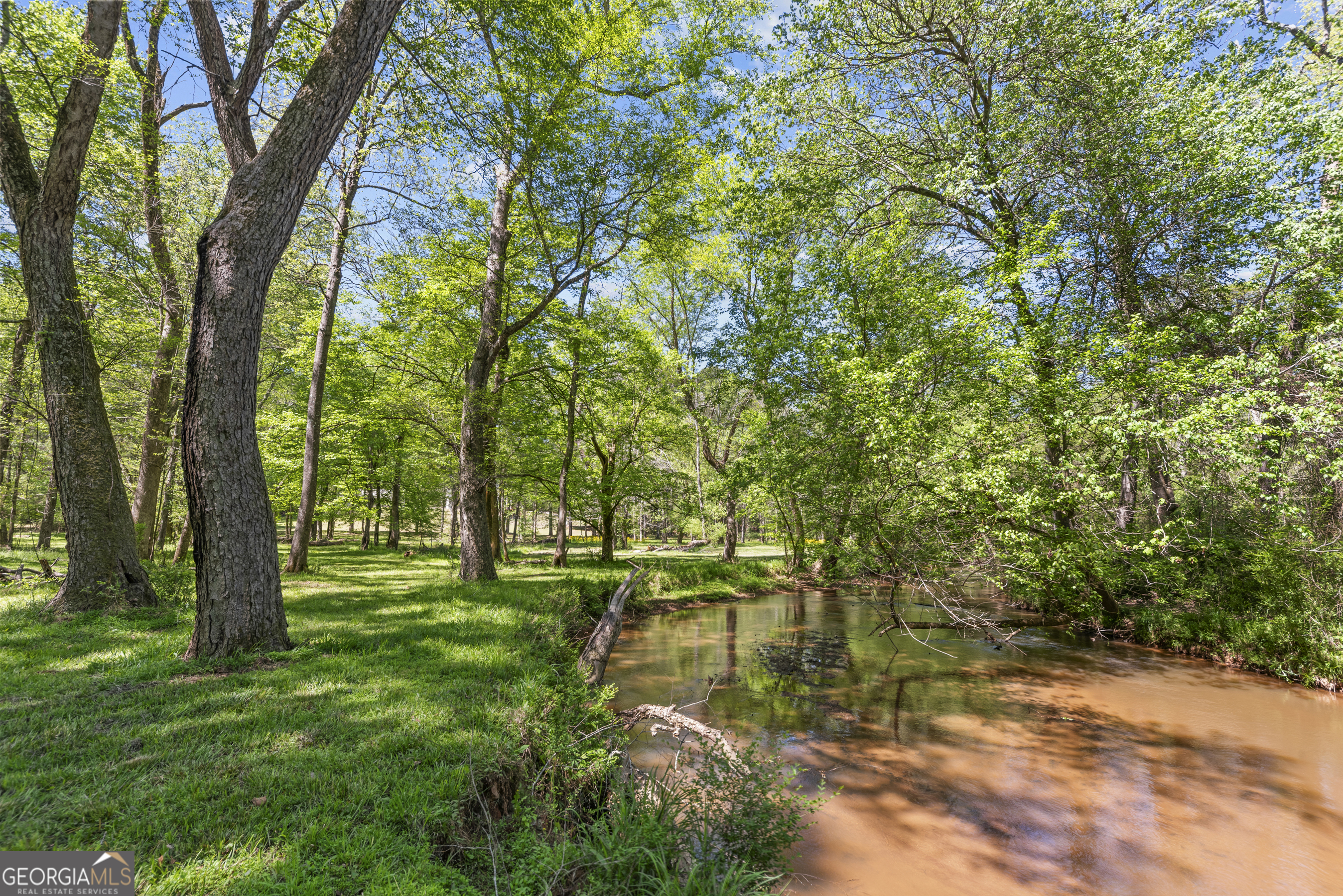 599 Double Branch Road Property Photo 49