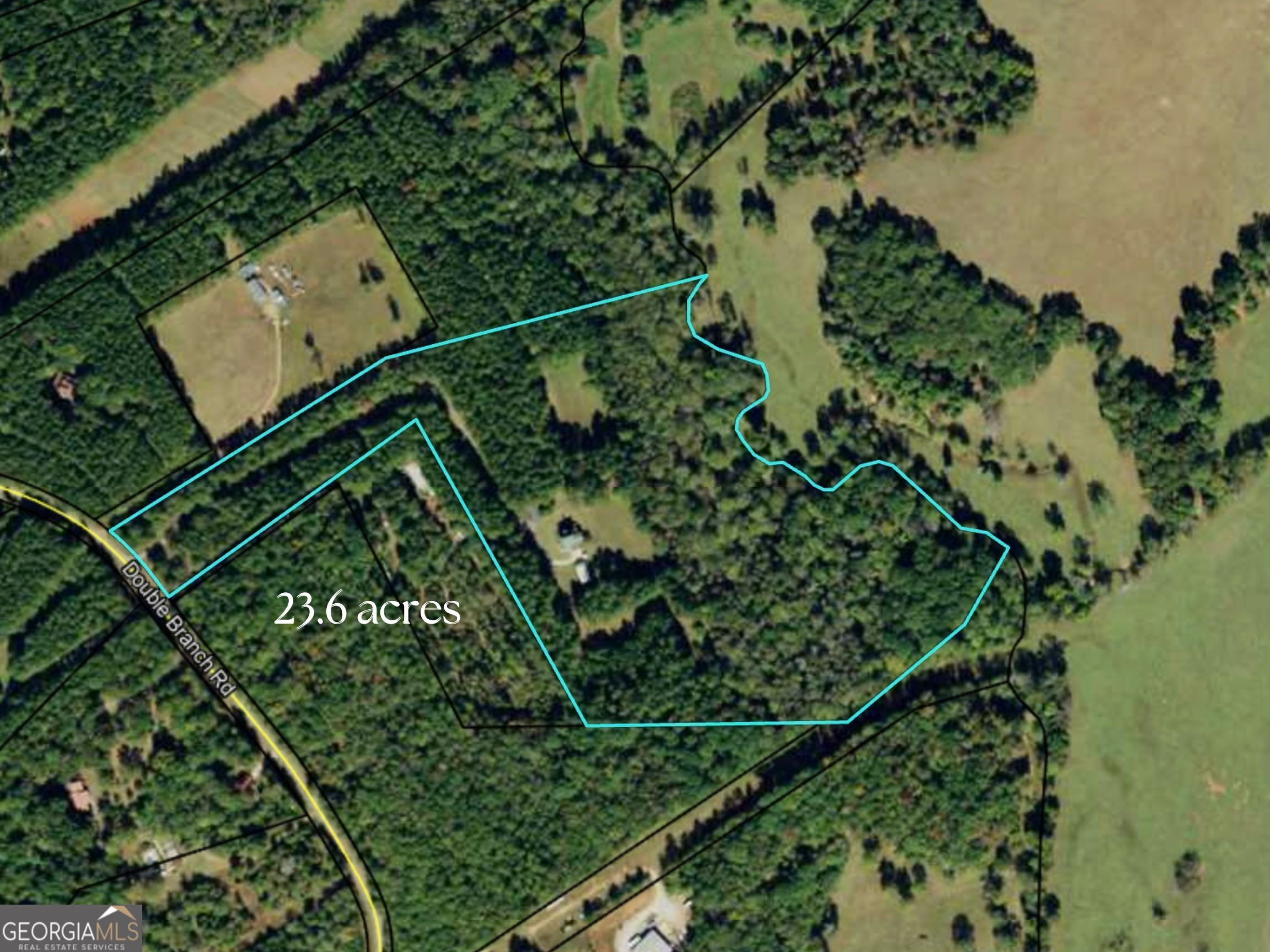 599 Double Branch Road Property Photo 52
