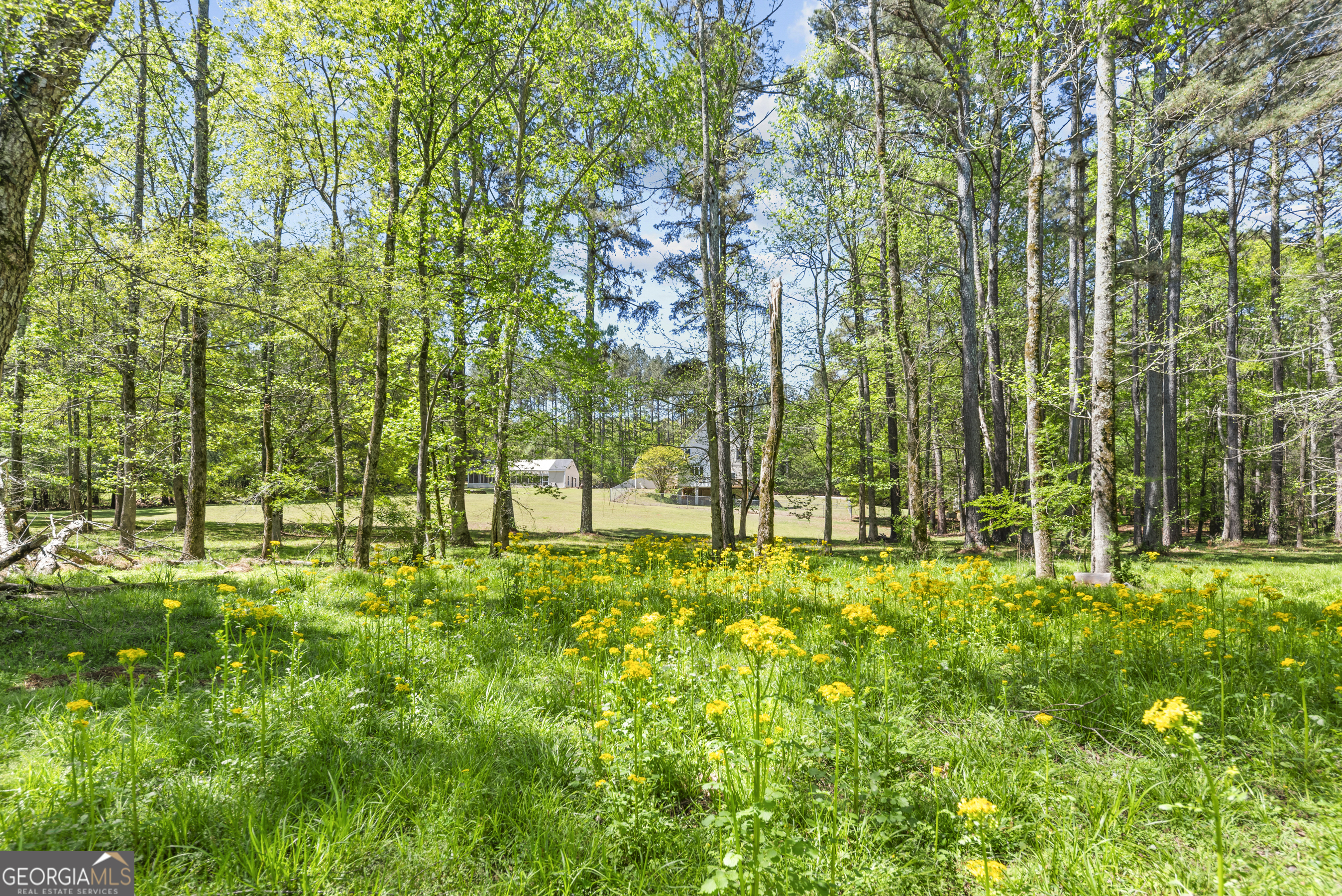 599 Double Branch Road Property Photo 60