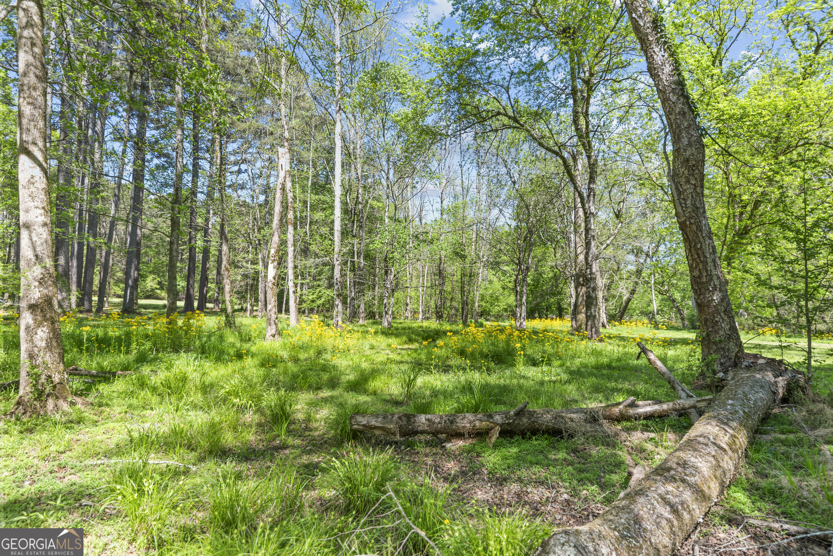 599 Double Branch Road Property Photo 61
