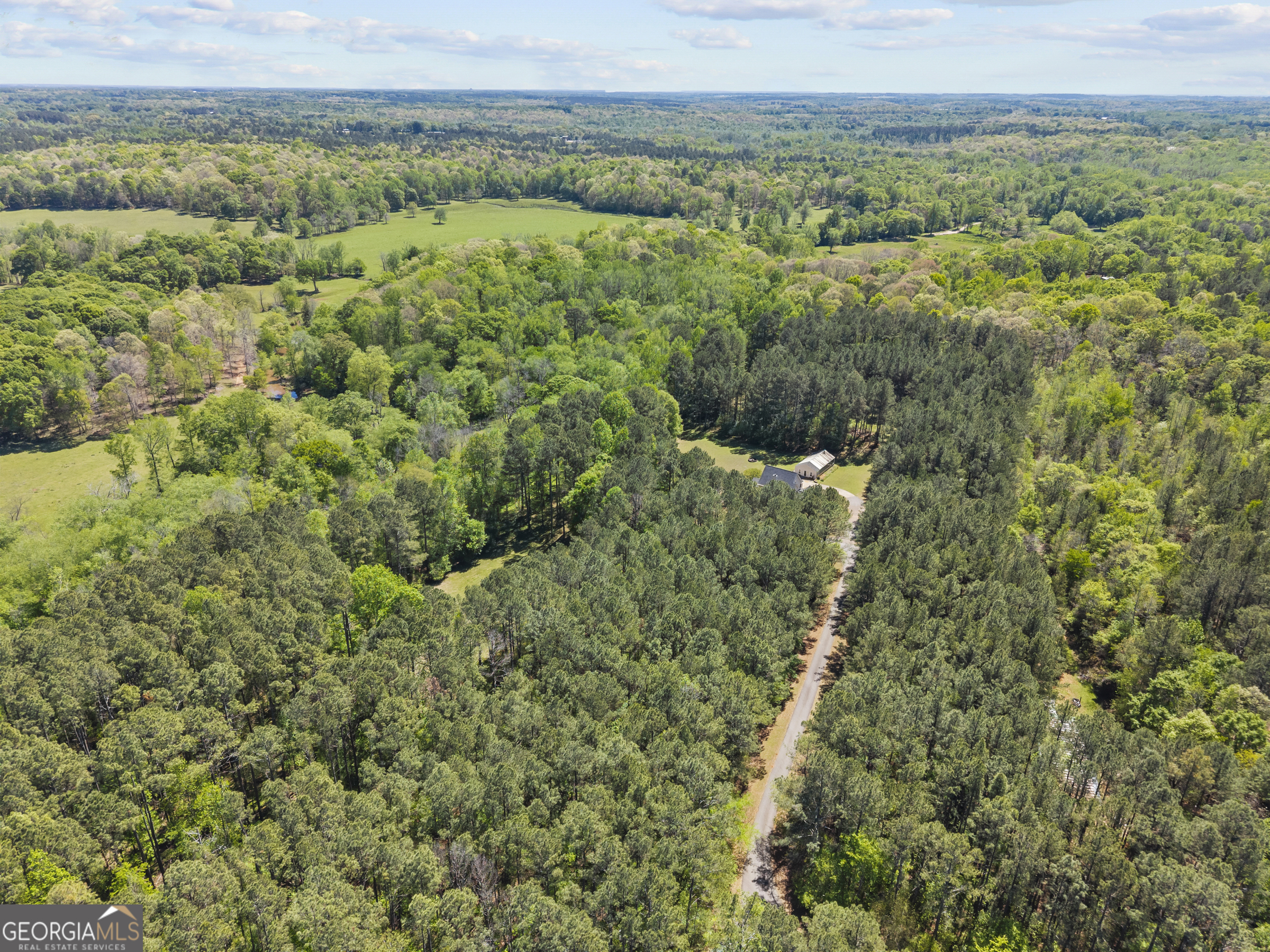 599 Double Branch Road Property Photo 65