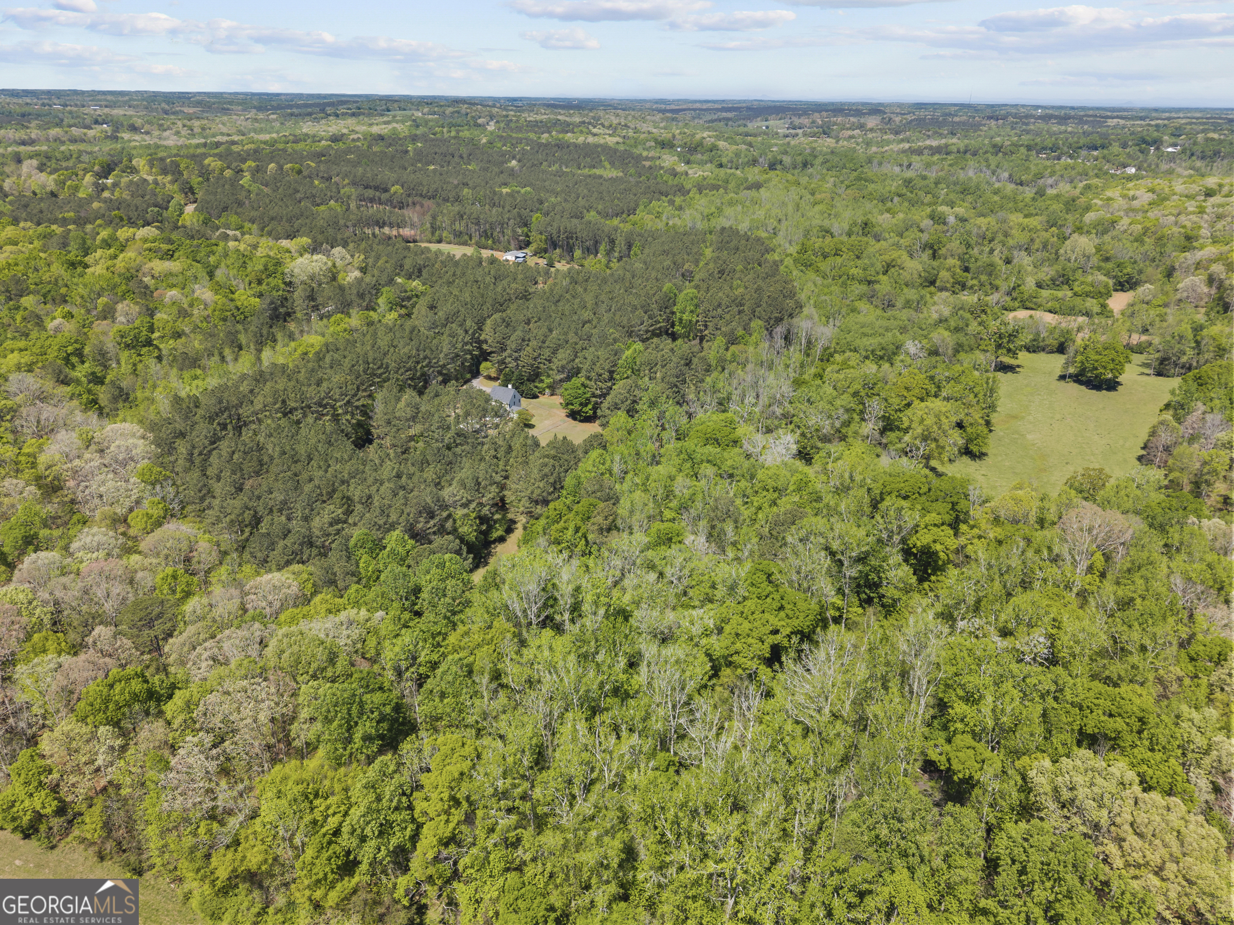 599 Double Branch Road Property Photo 68