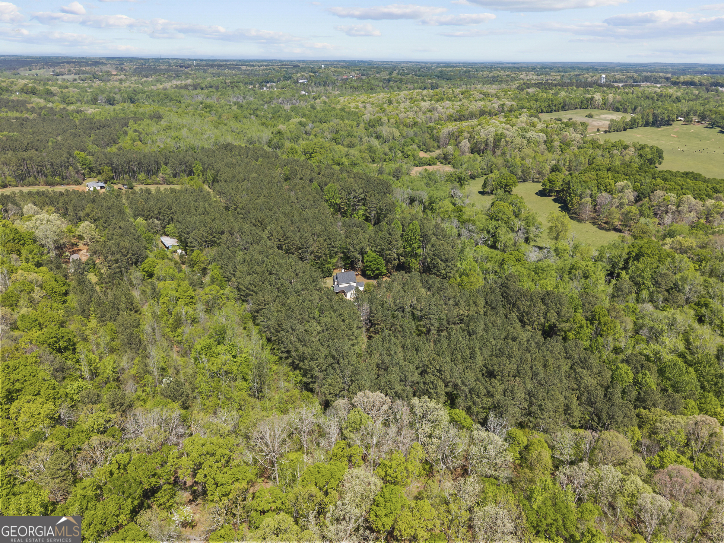 599 Double Branch Road Property Photo 69
