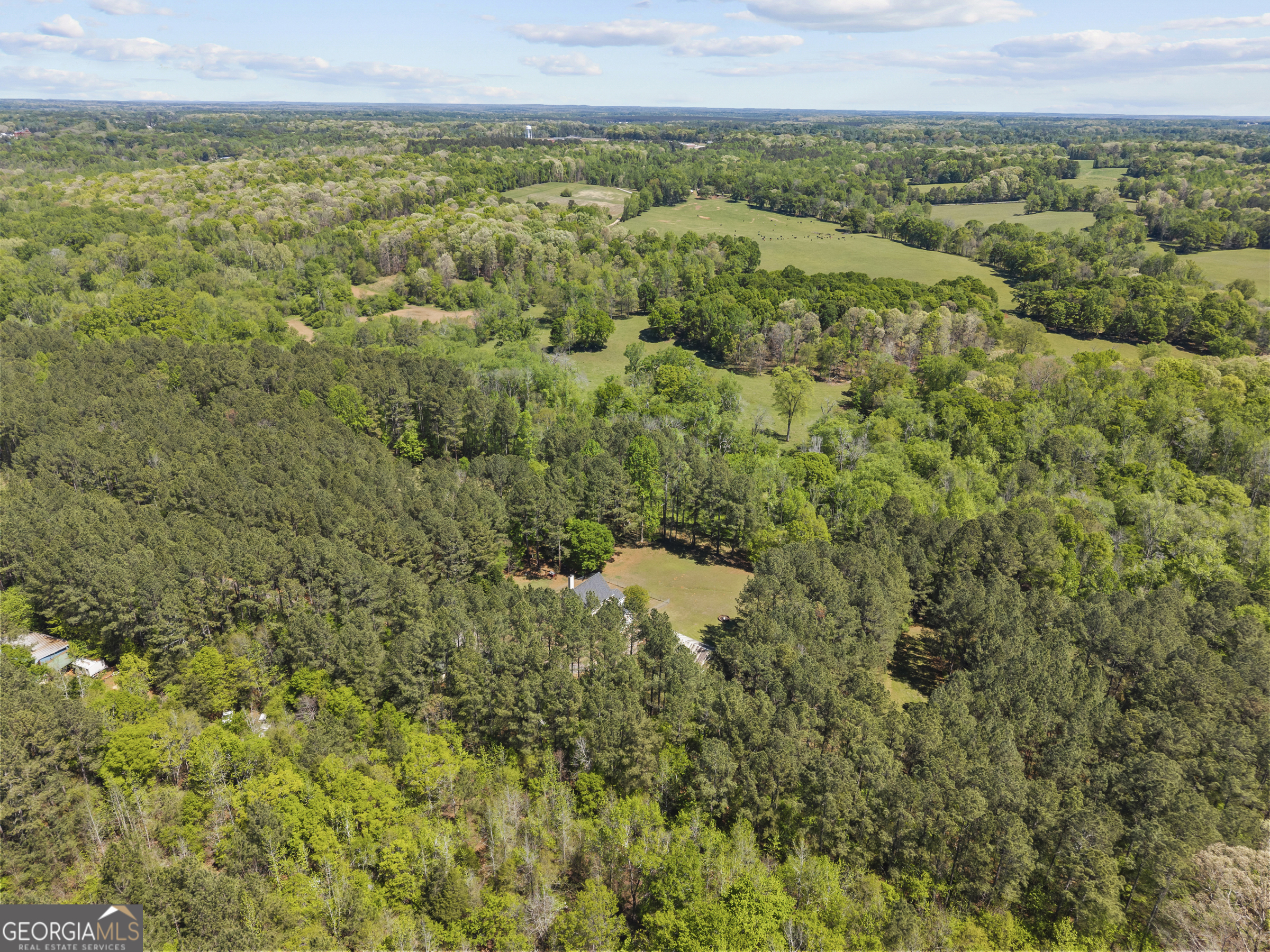 599 Double Branch Road Property Photo 70