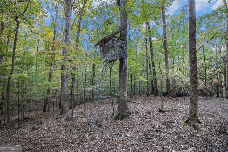 2170 Taylorsville Road Property Photo 47