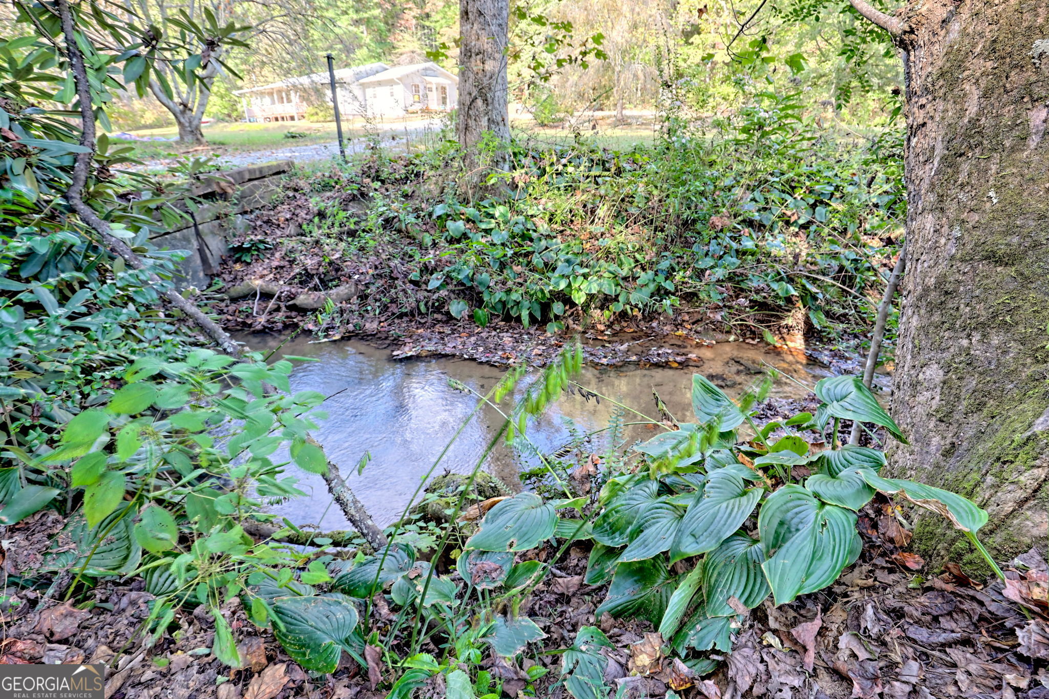 0 Woodall Road Property Photo 6