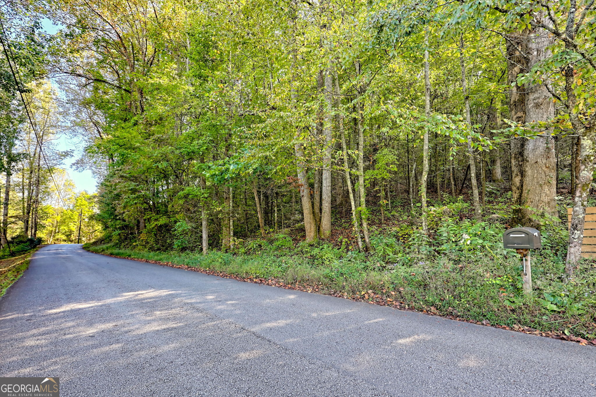 0 Woodall Road Property Photo 9