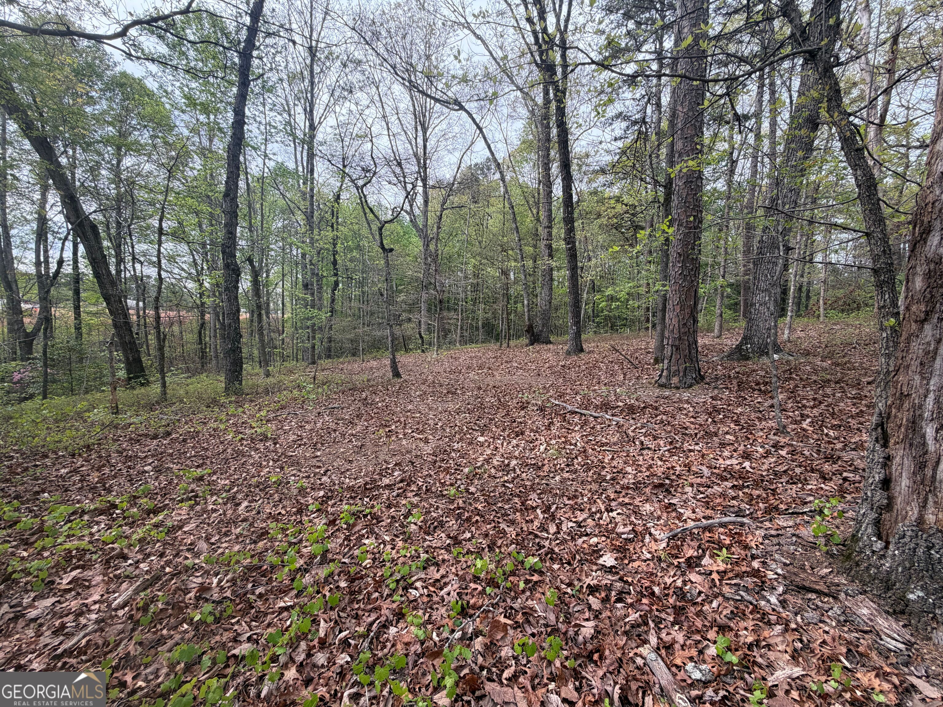 0 N County Line Road