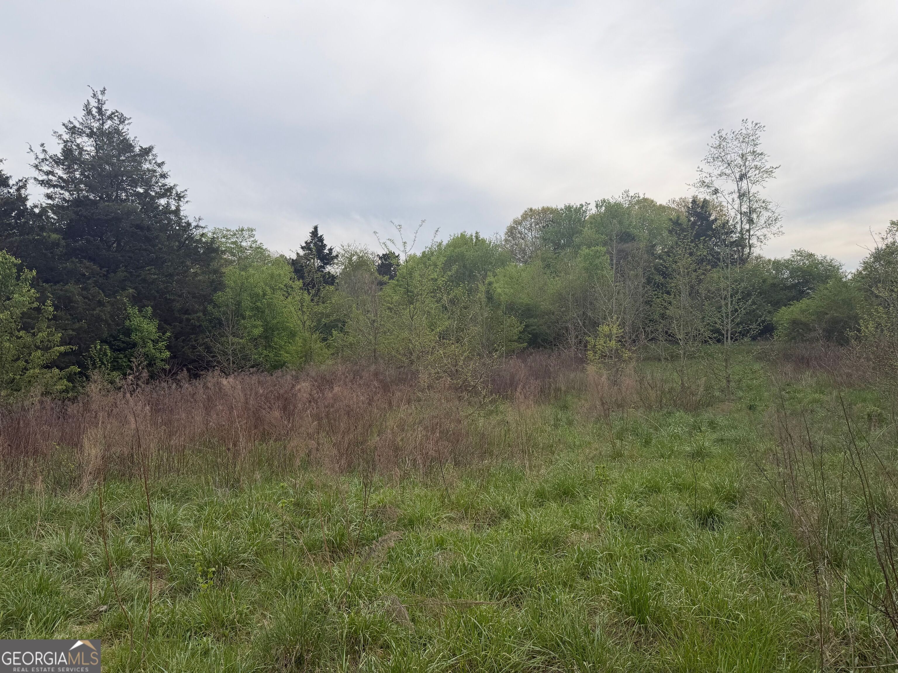 0 N County Line Road Property Photo 3