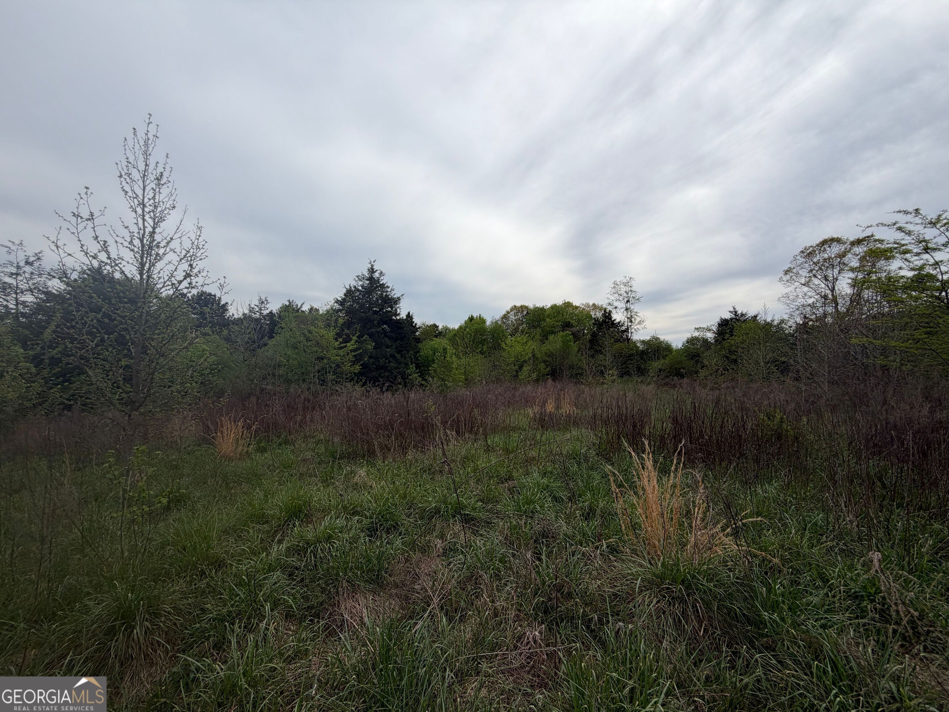 0 N County Line Road Property Photo 11