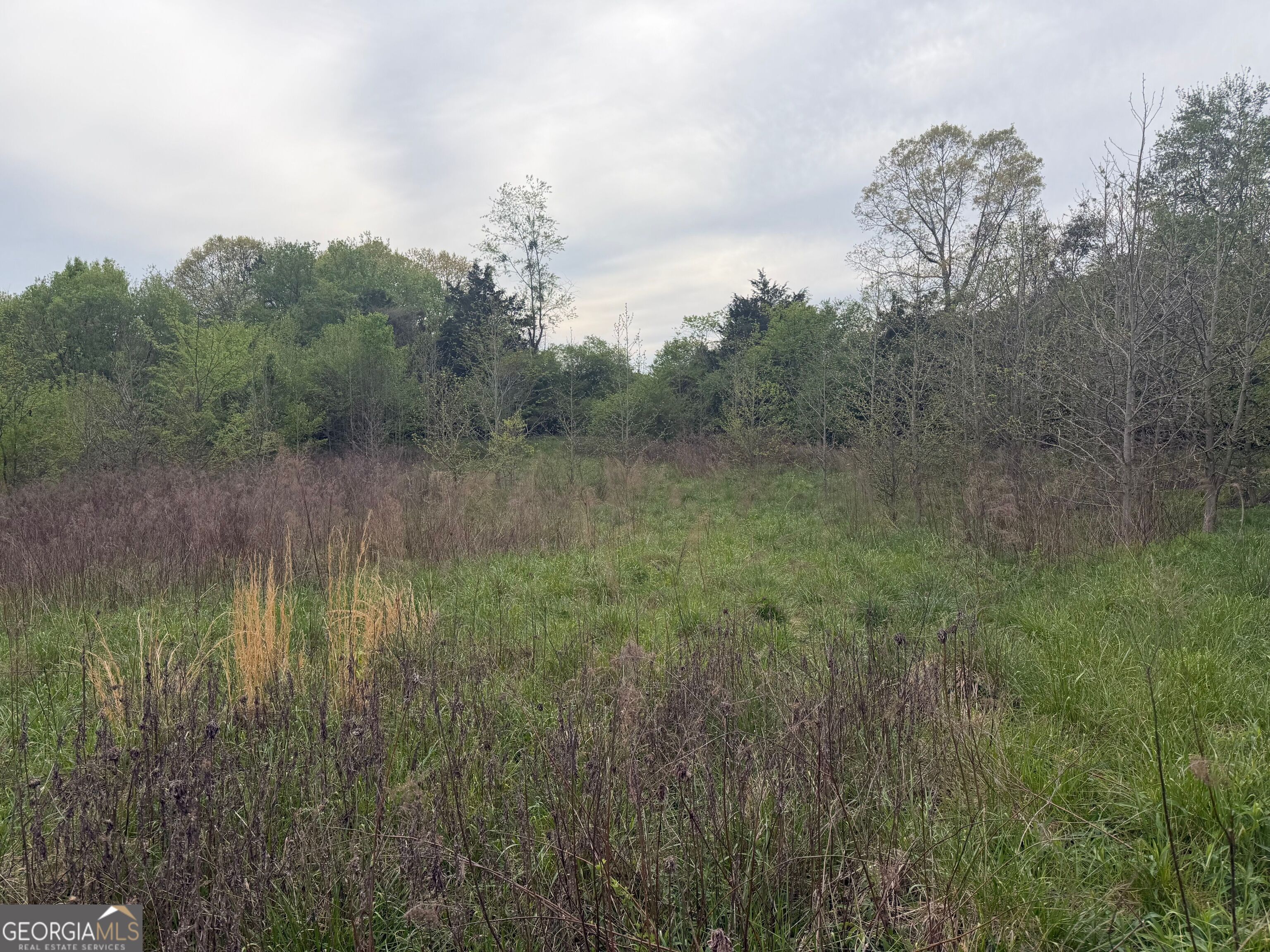 0 N County Line Road Property Photo 13