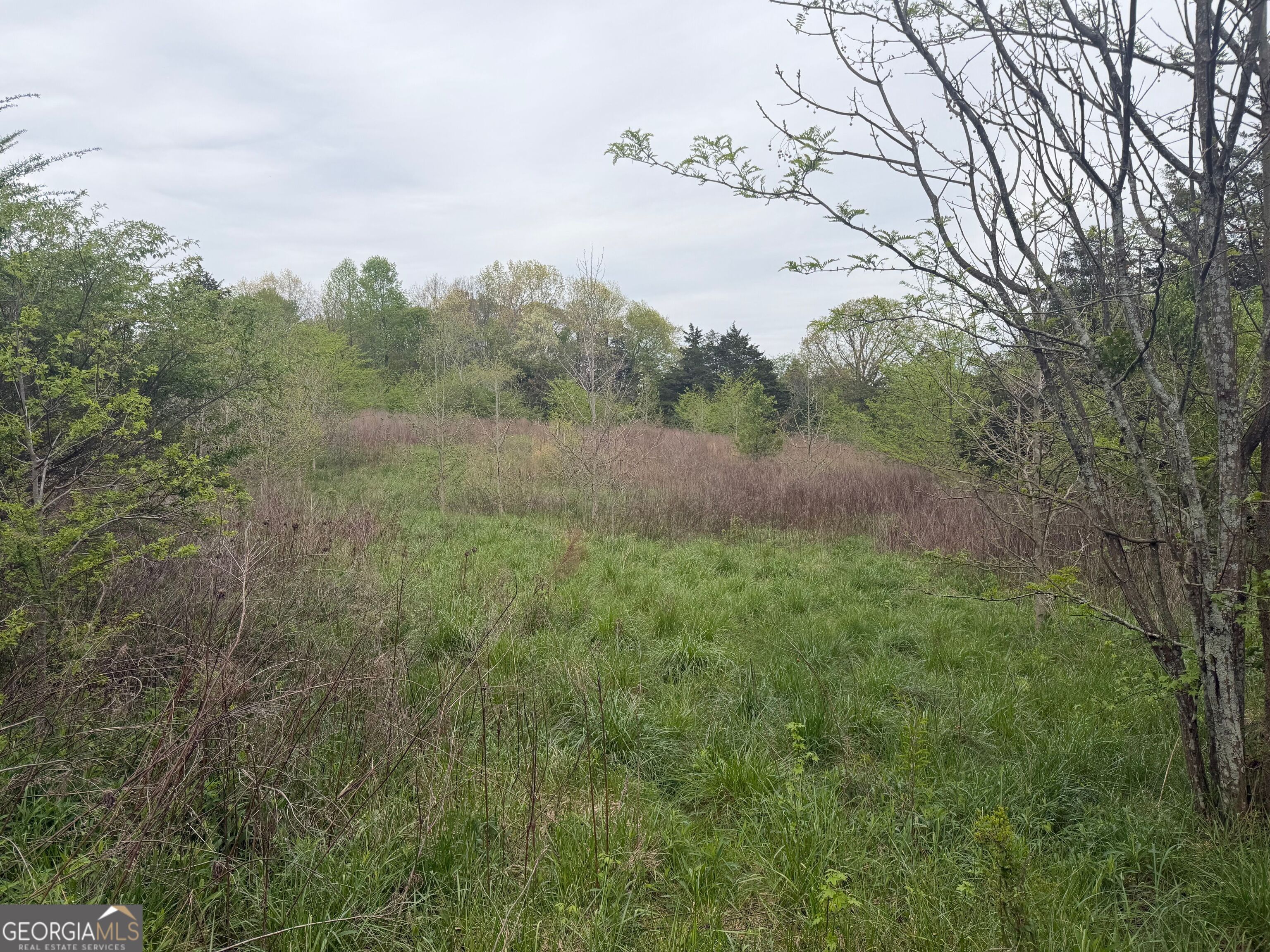 0 N County Line Road Property Photo 14