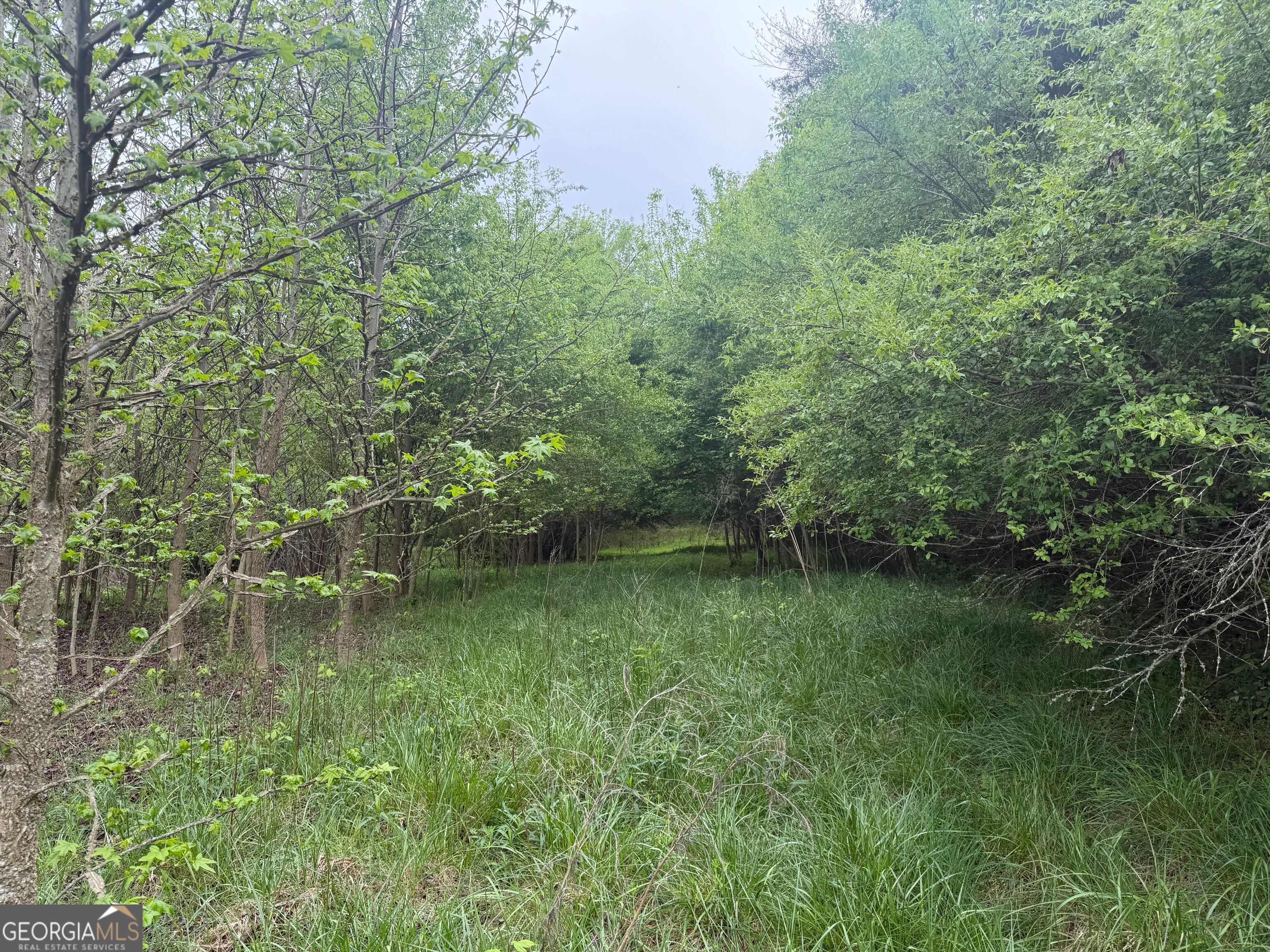 0 N County Line Road Property Photo 15