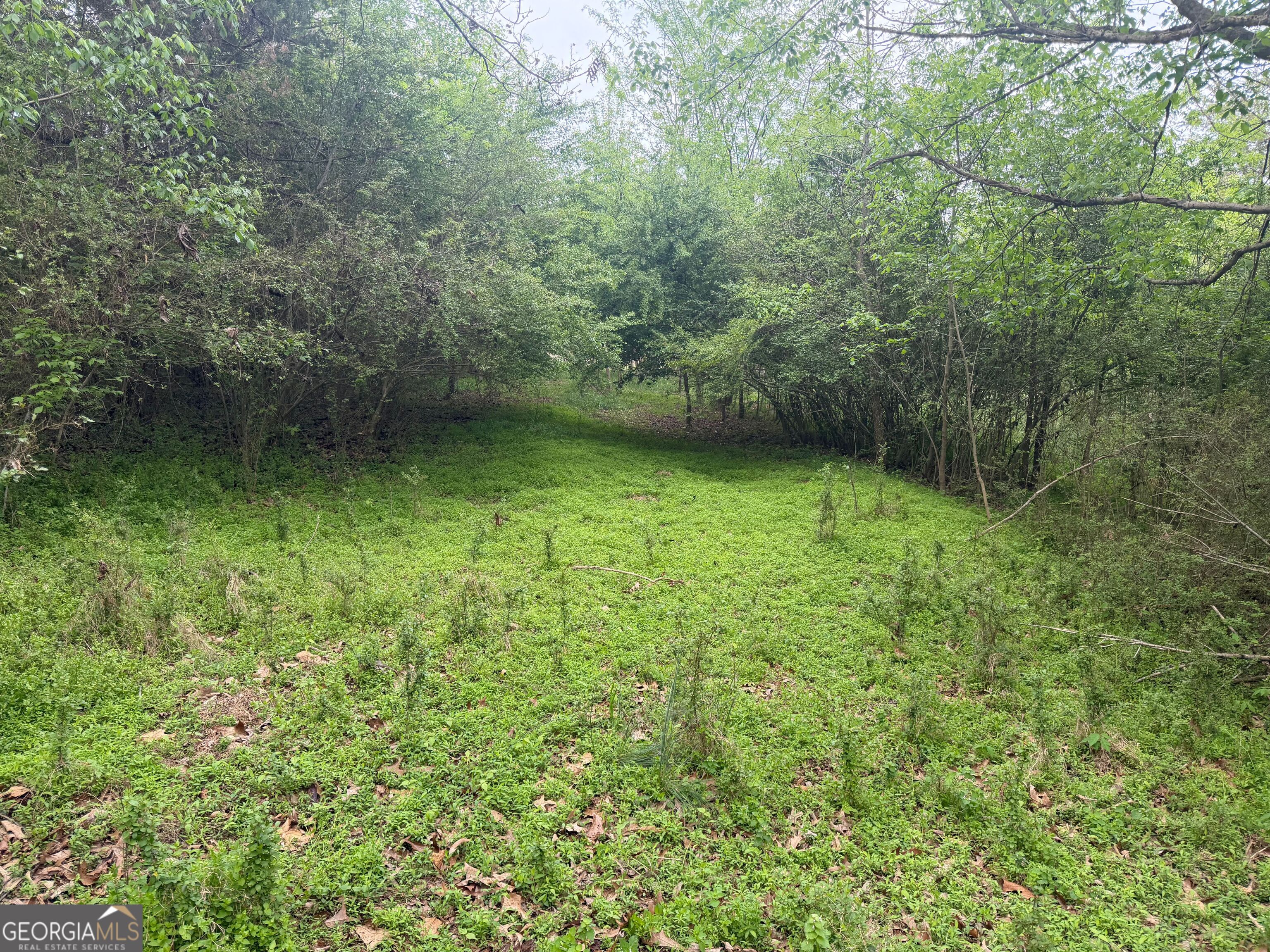 0 N County Line Road Property Photo 16