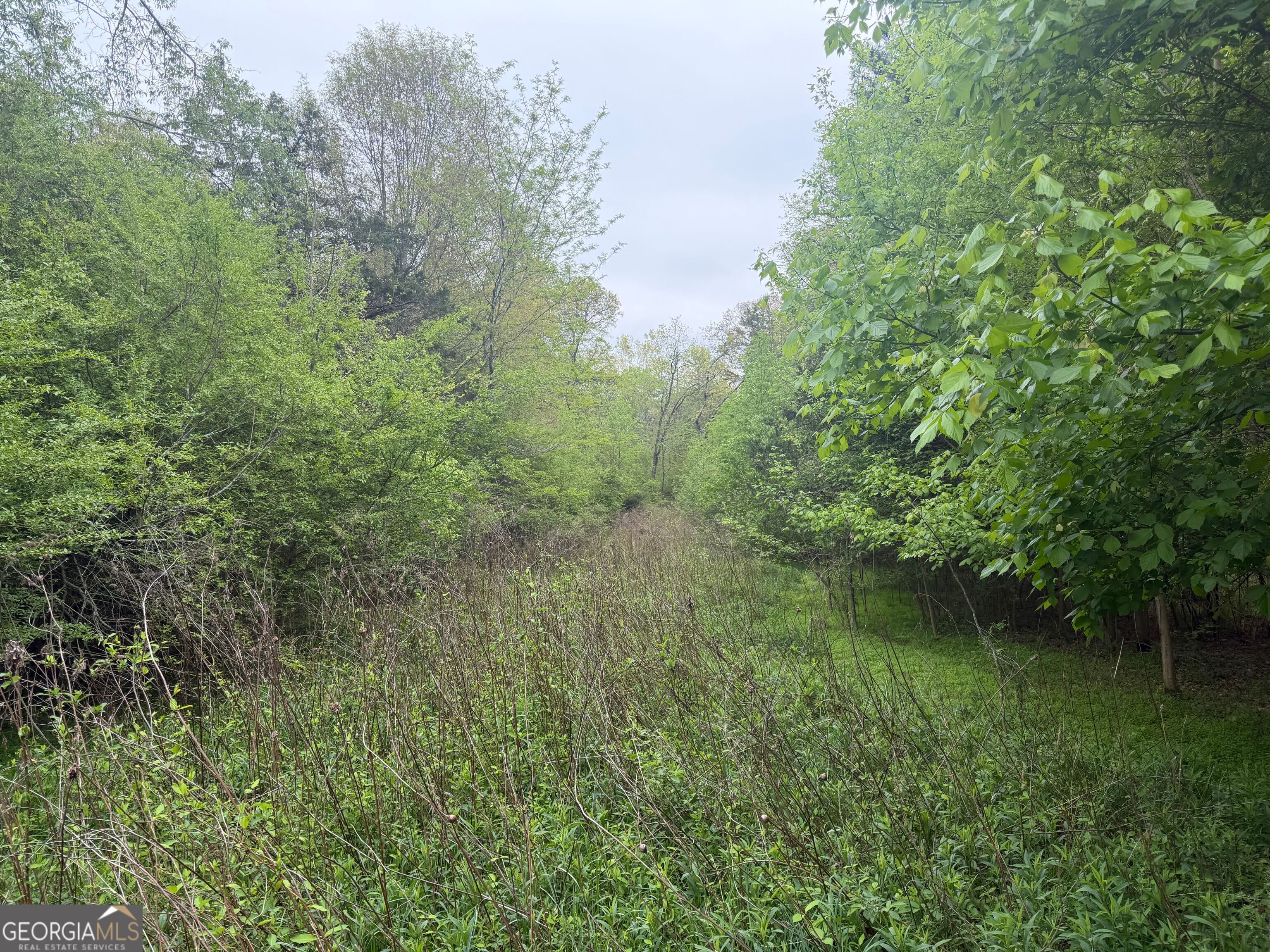 0 N County Line Road Property Photo 17