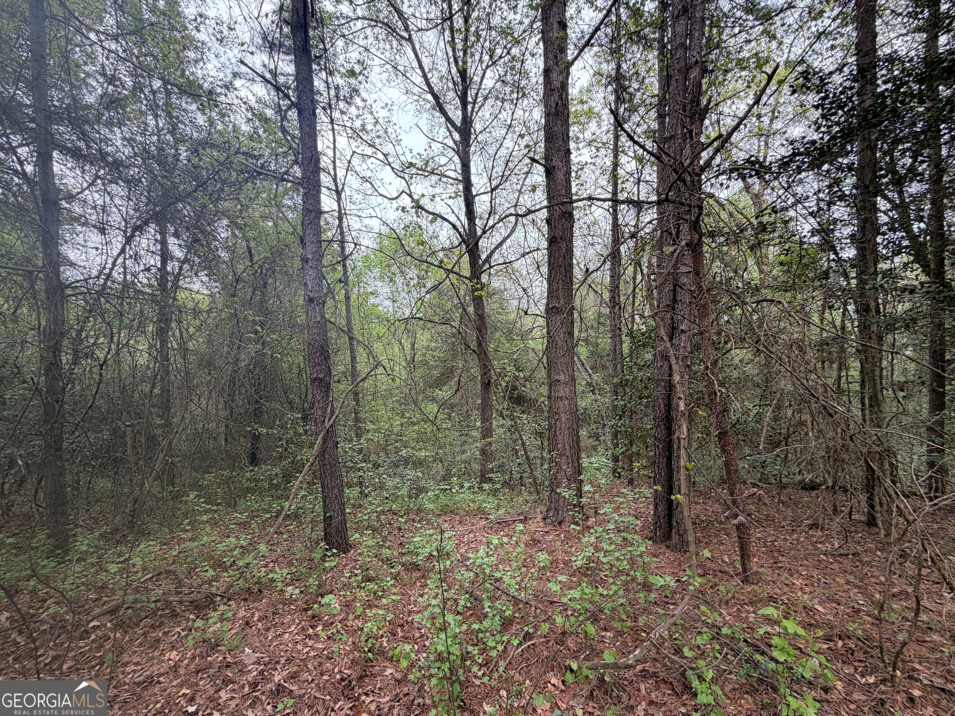 0 N County Line Road Property Photo 18
