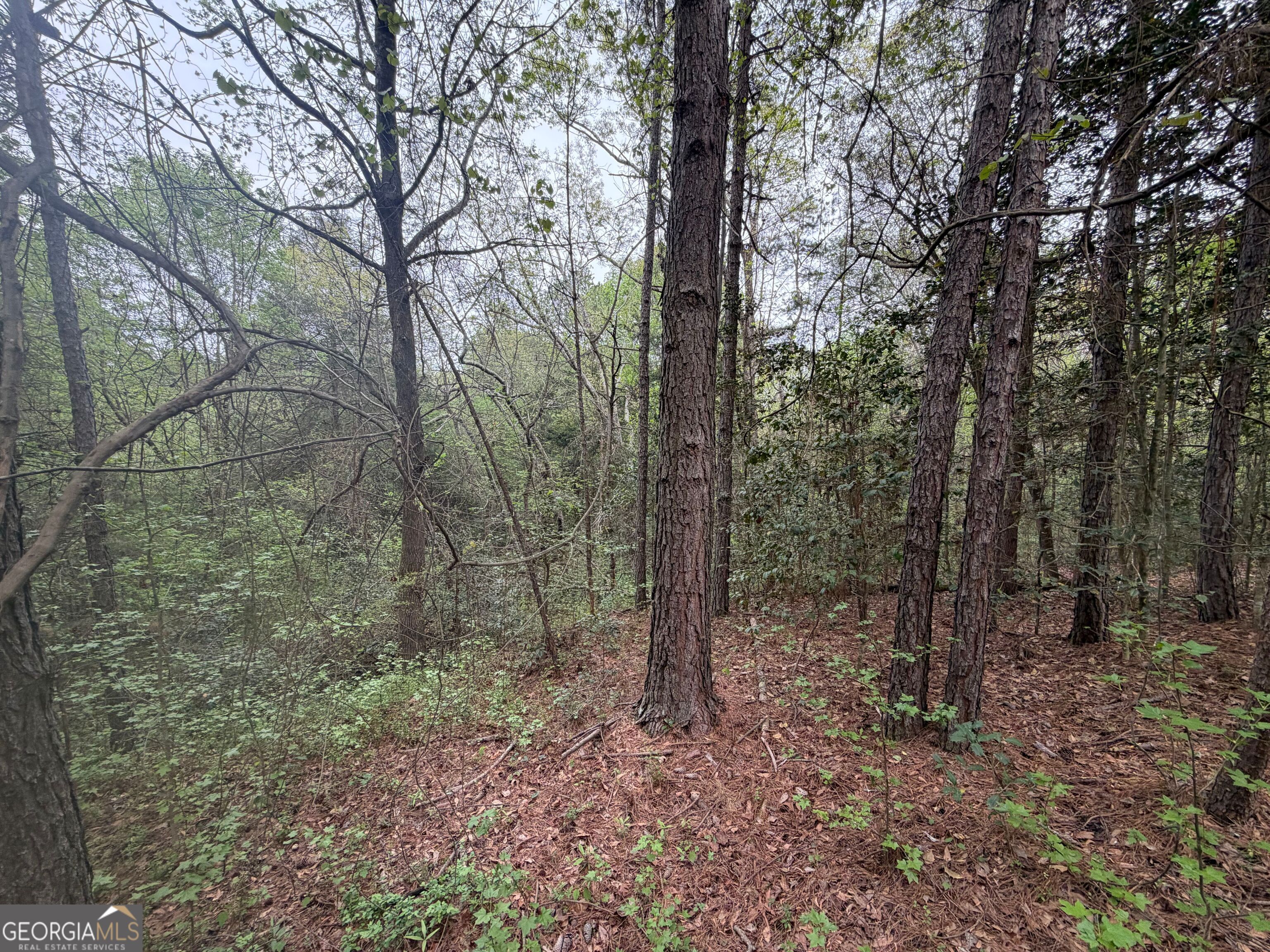 0 N County Line Road Property Photo 19