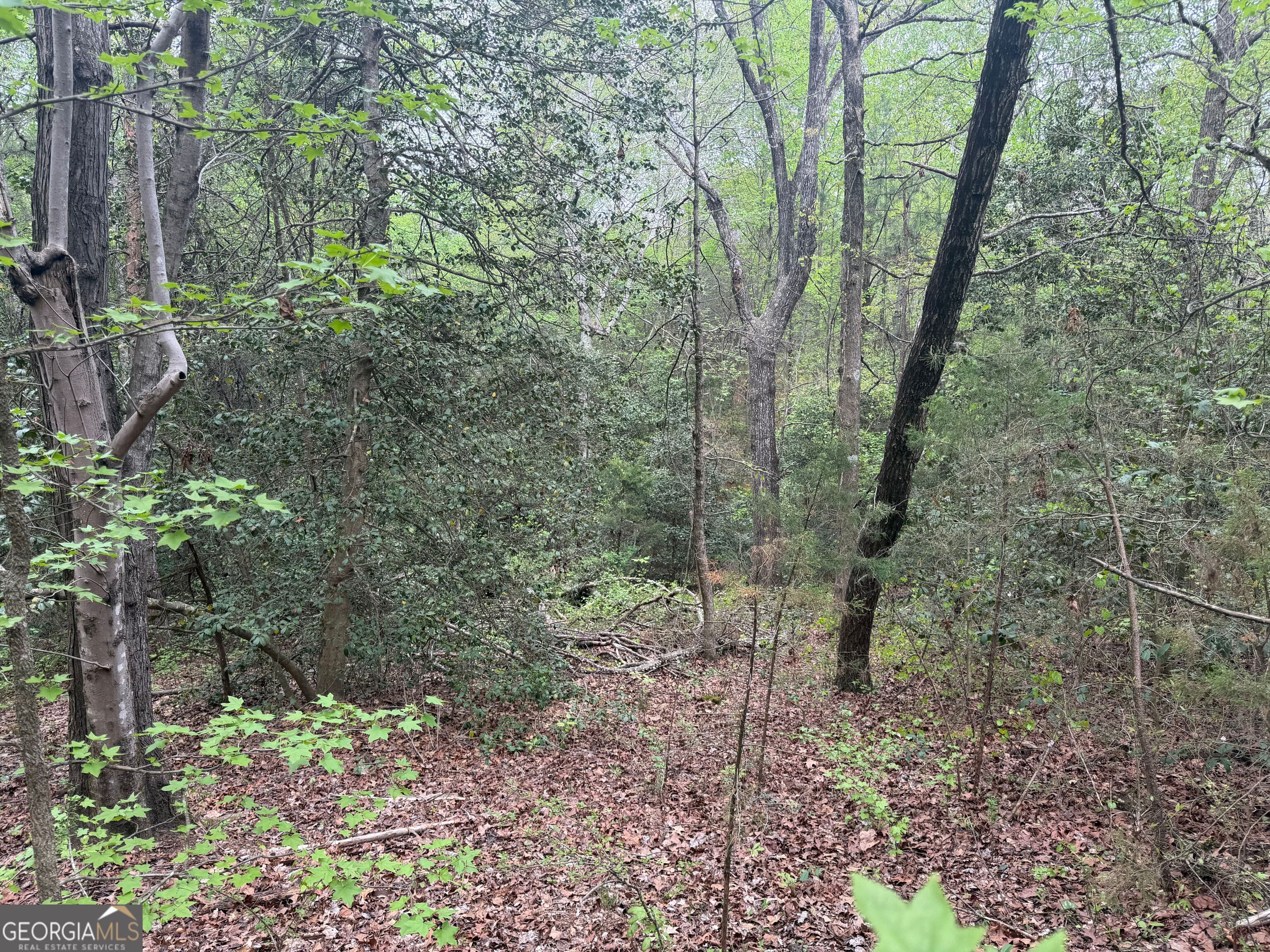 0 N County Line Road Property Photo 20