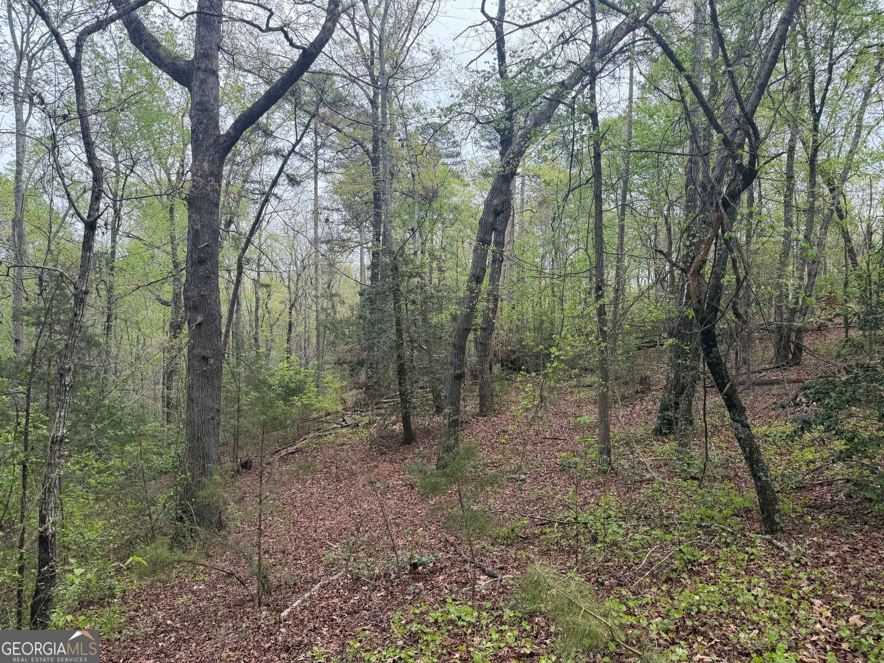 0 N County Line Road Property Photo 21