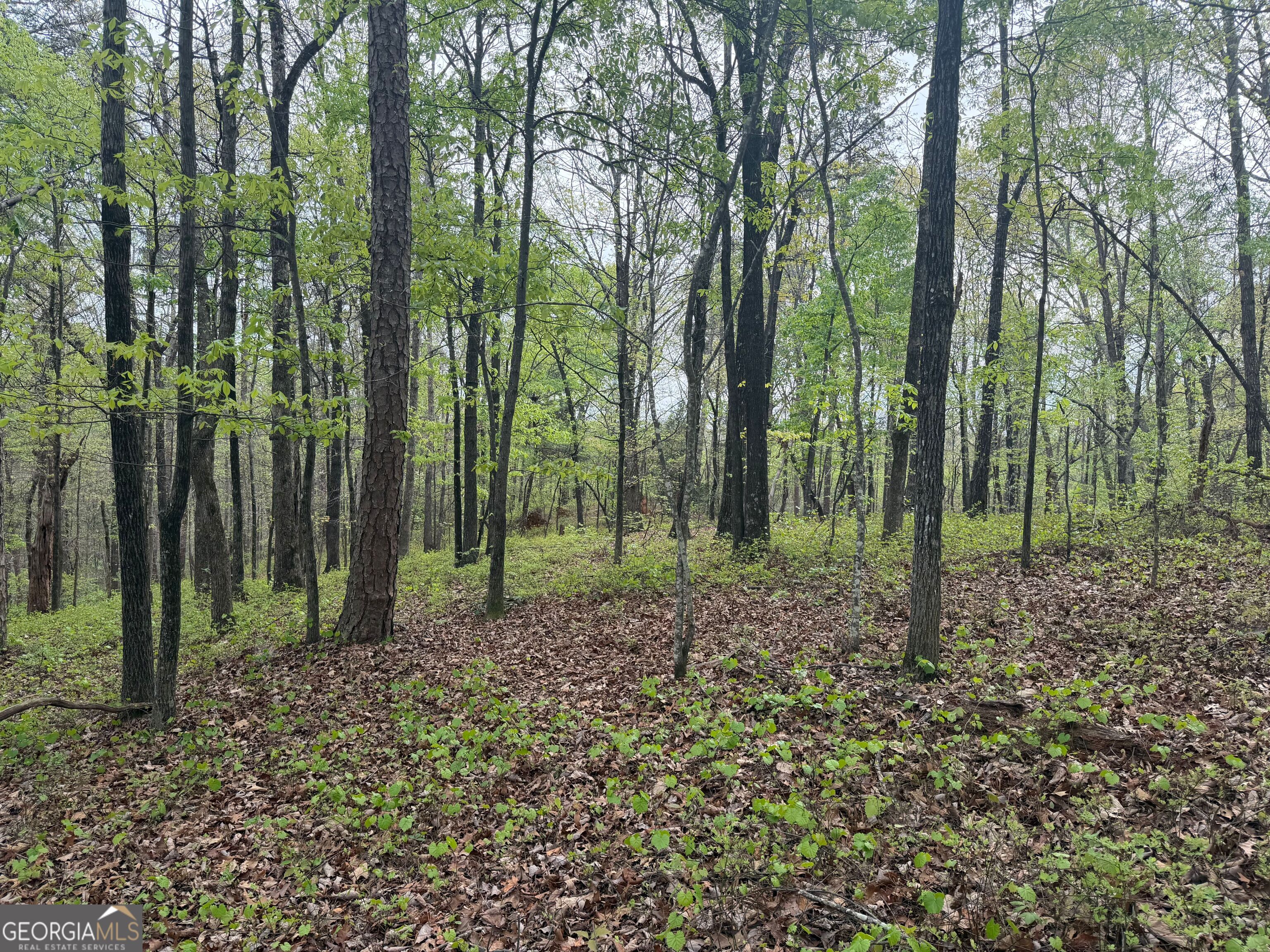 0 N County Line Road Property Photo 25