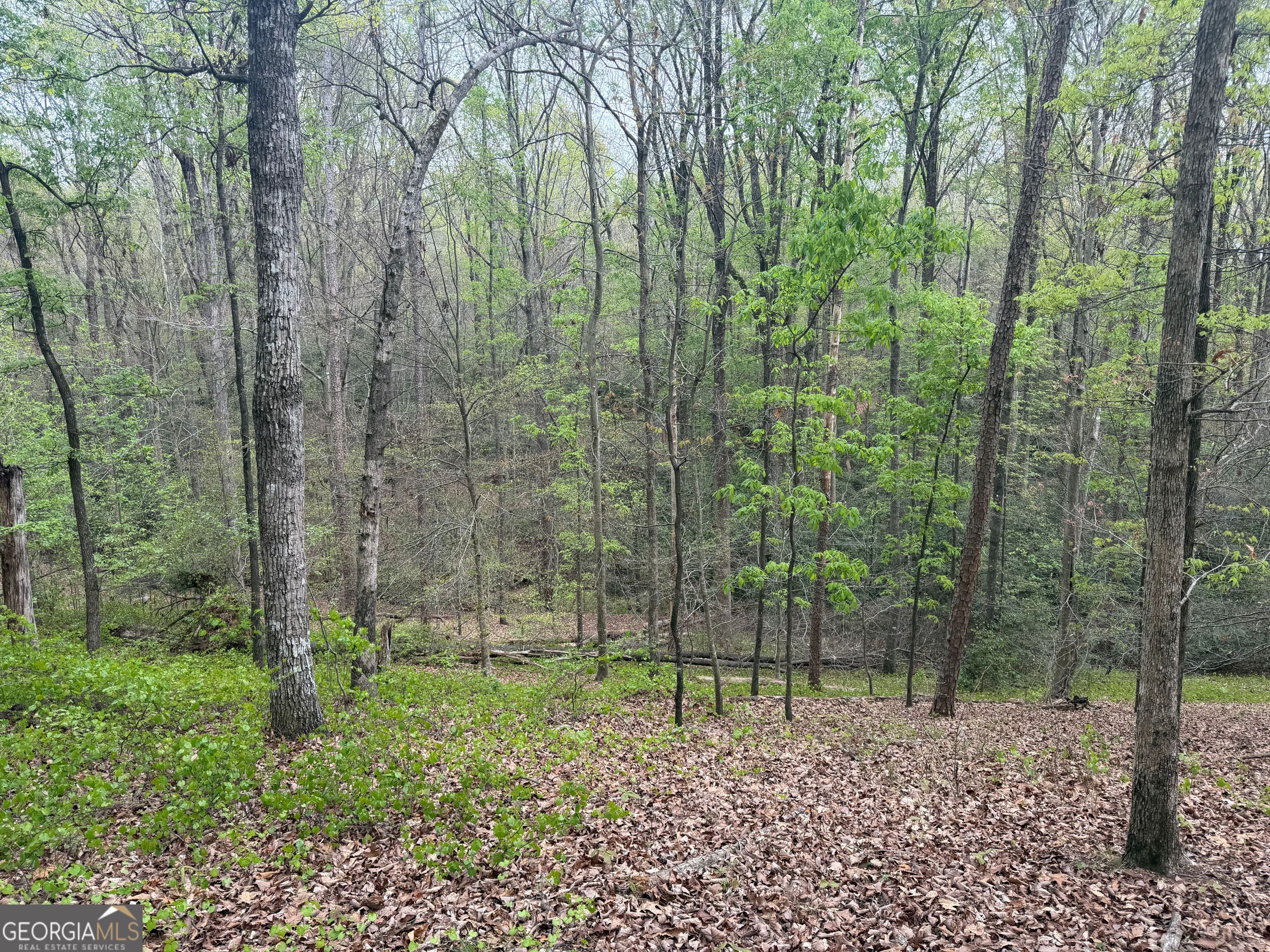0 N County Line Road Property Photo 26