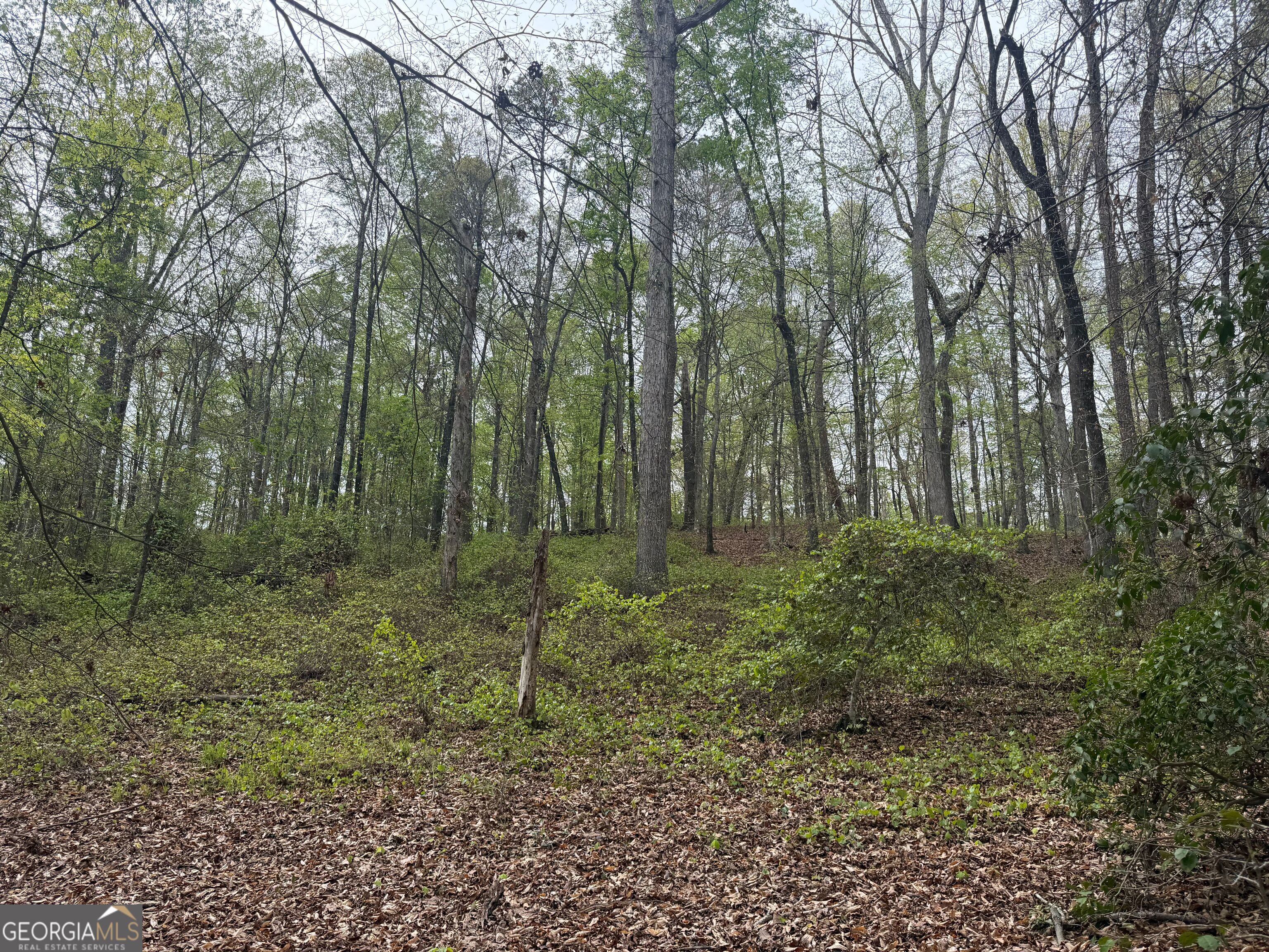0 N County Line Road Property Photo 27