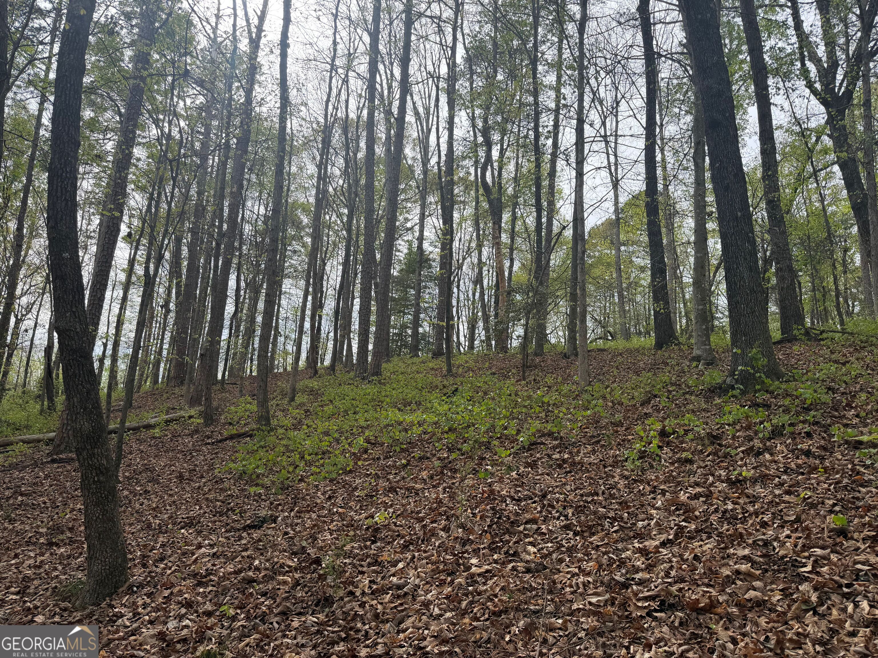 0 N County Line Road Property Photo 31