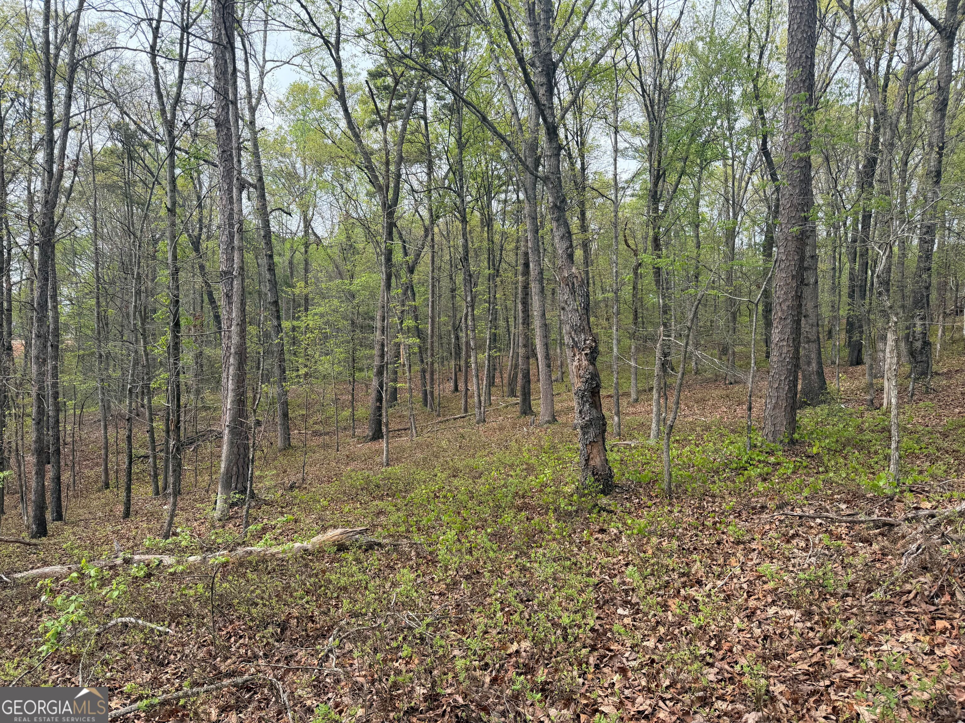 0 N County Line Road Property Photo 32