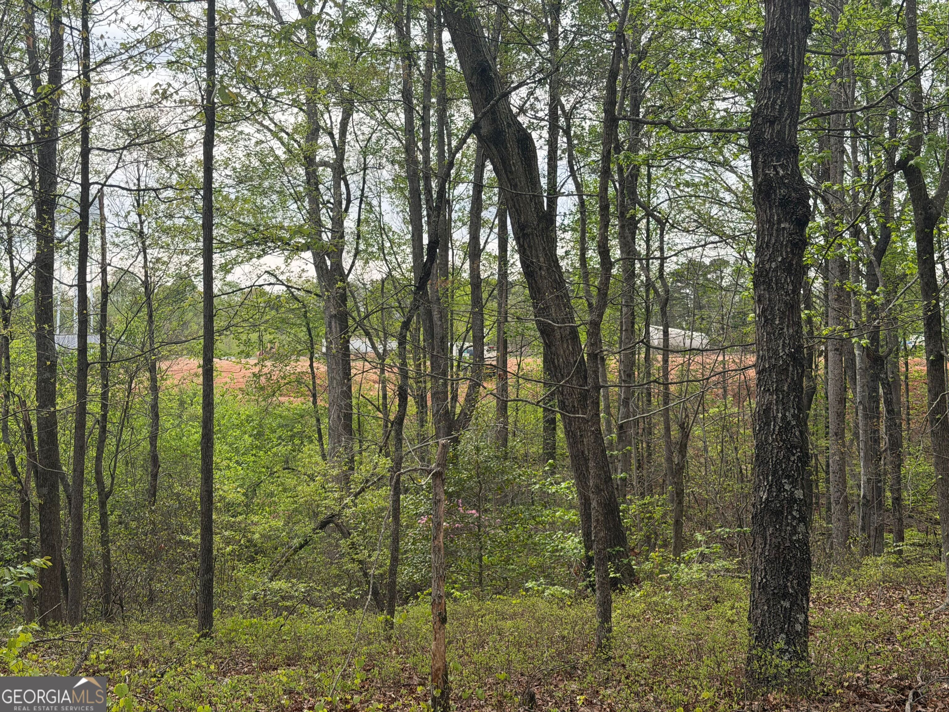 0 N County Line Road Property Photo 33