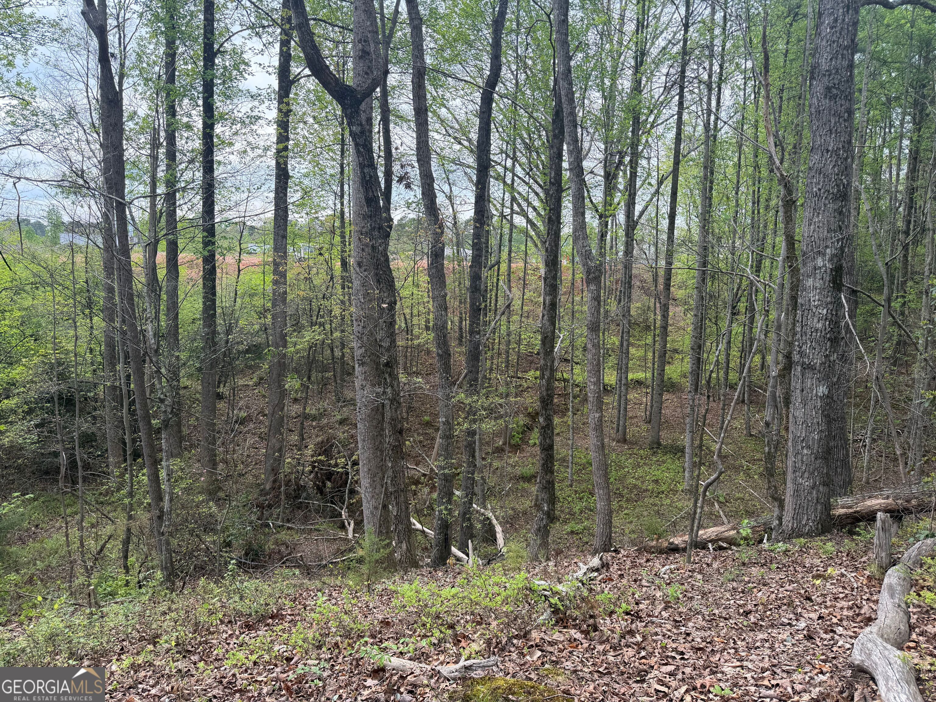 0 N County Line Road Property Photo 34