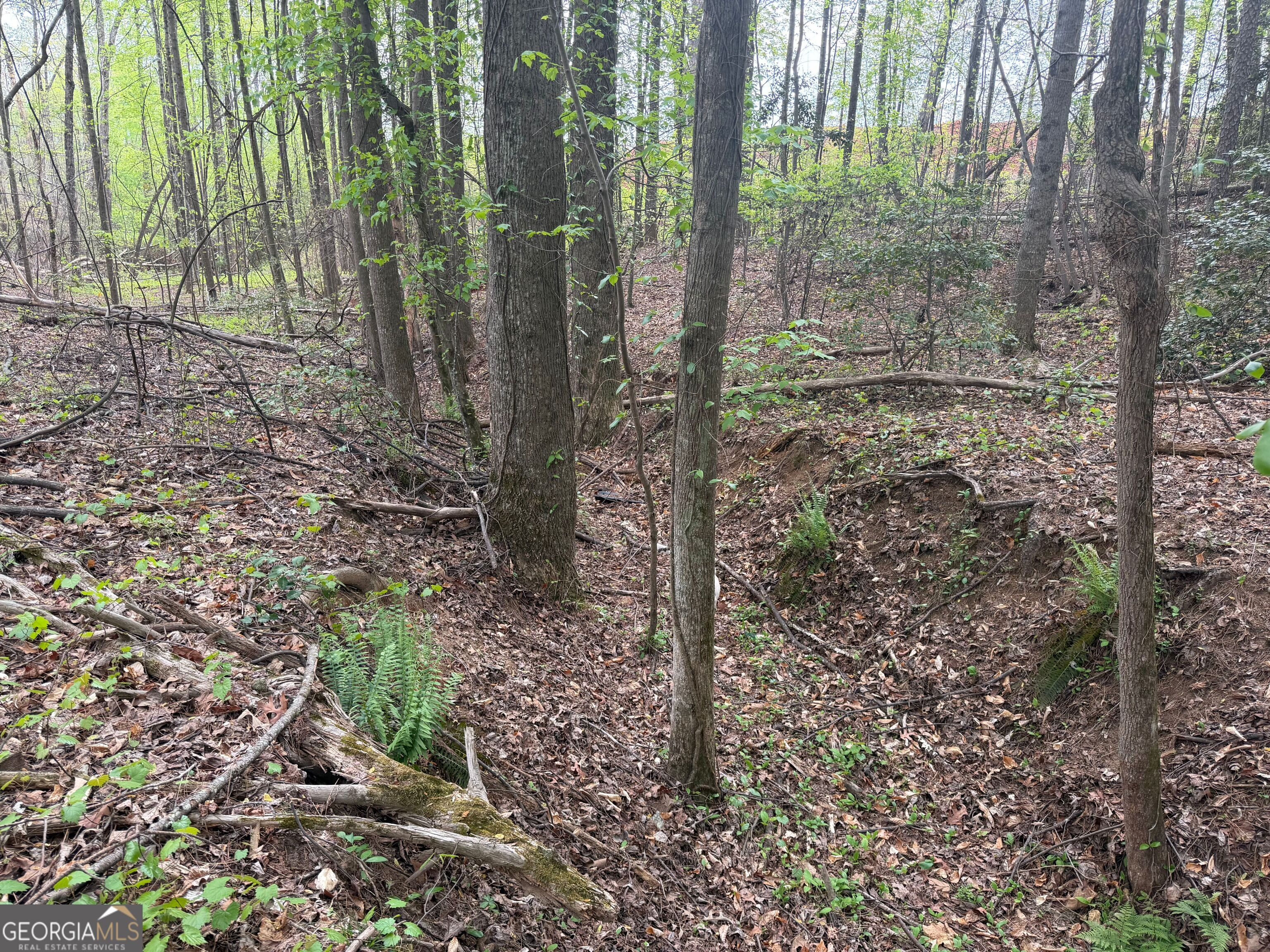 0 N County Line Road Property Photo 35